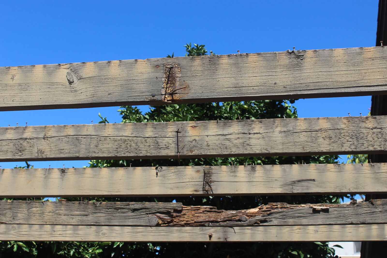 Canon EOS 1200D (EOS Rebel T5 / EOS Kiss X70 / EOS Hi) sample photo. Construction, wood, wooden photography