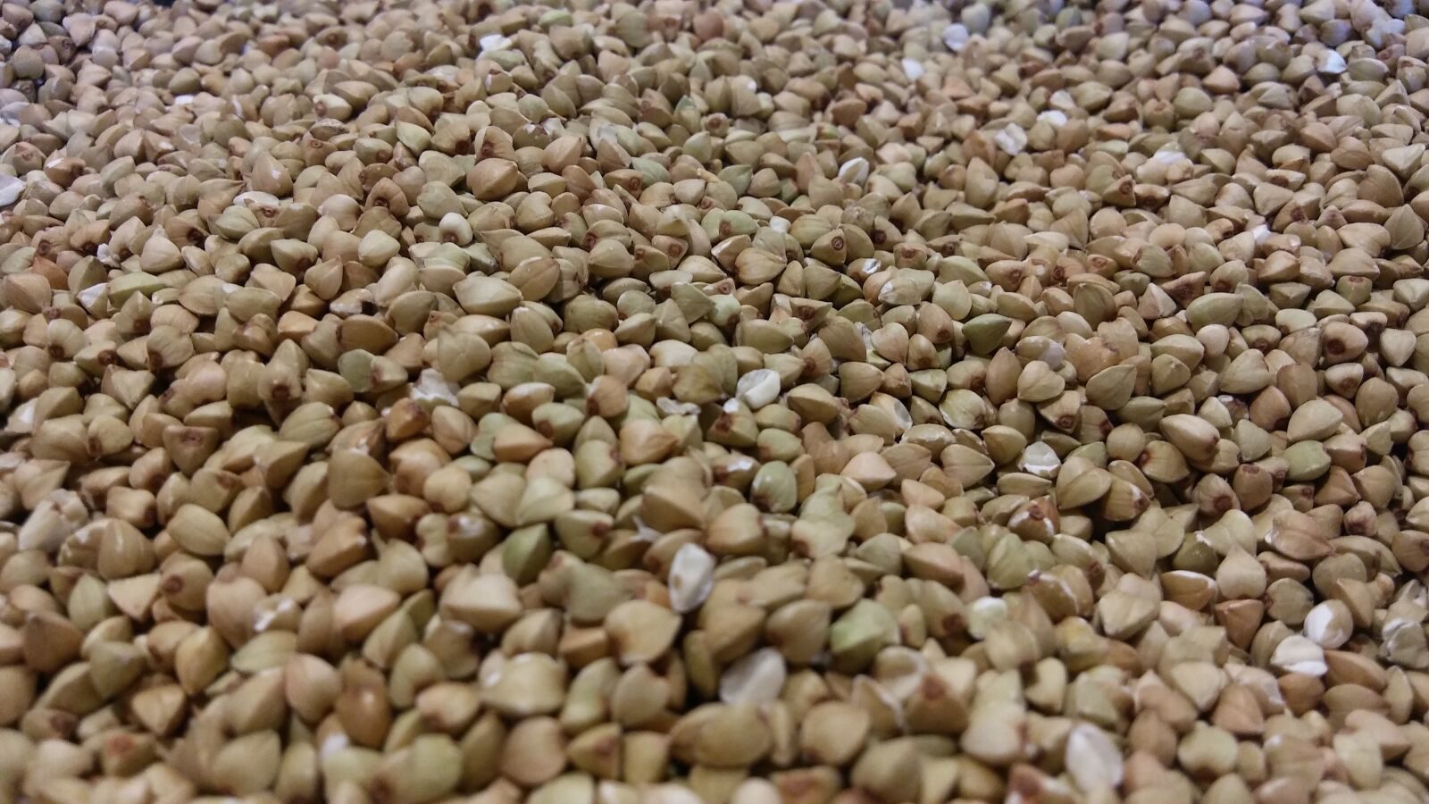 LG K10 sample photo. Wheat, saracen, grain photography