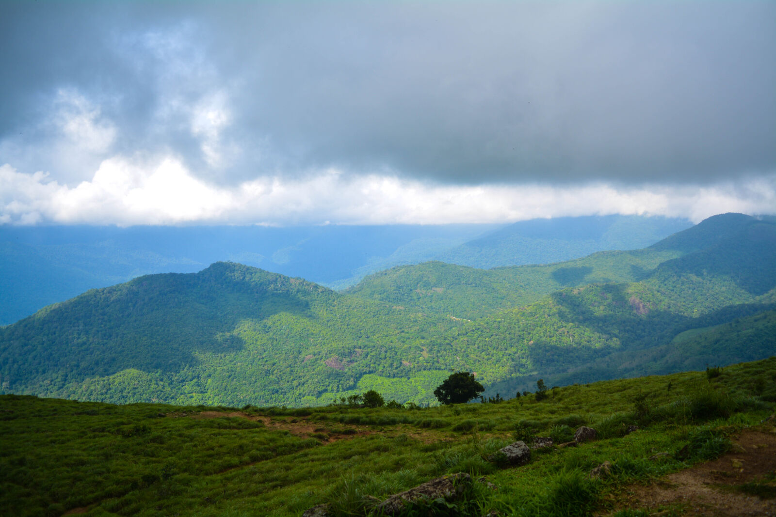Nikon D5200 sample photo. Green, hill, mist, and photography