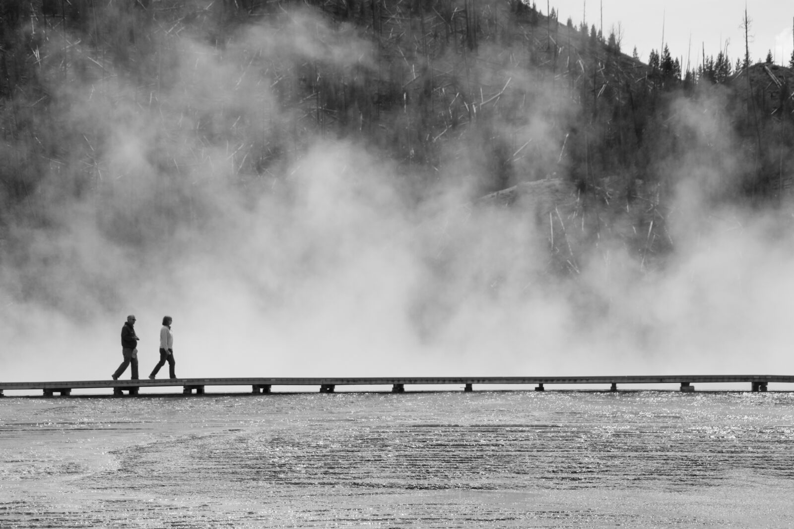 Canon EOS 500D (EOS Rebel T1i / EOS Kiss X3) sample photo. Yellowstone, black and white photography