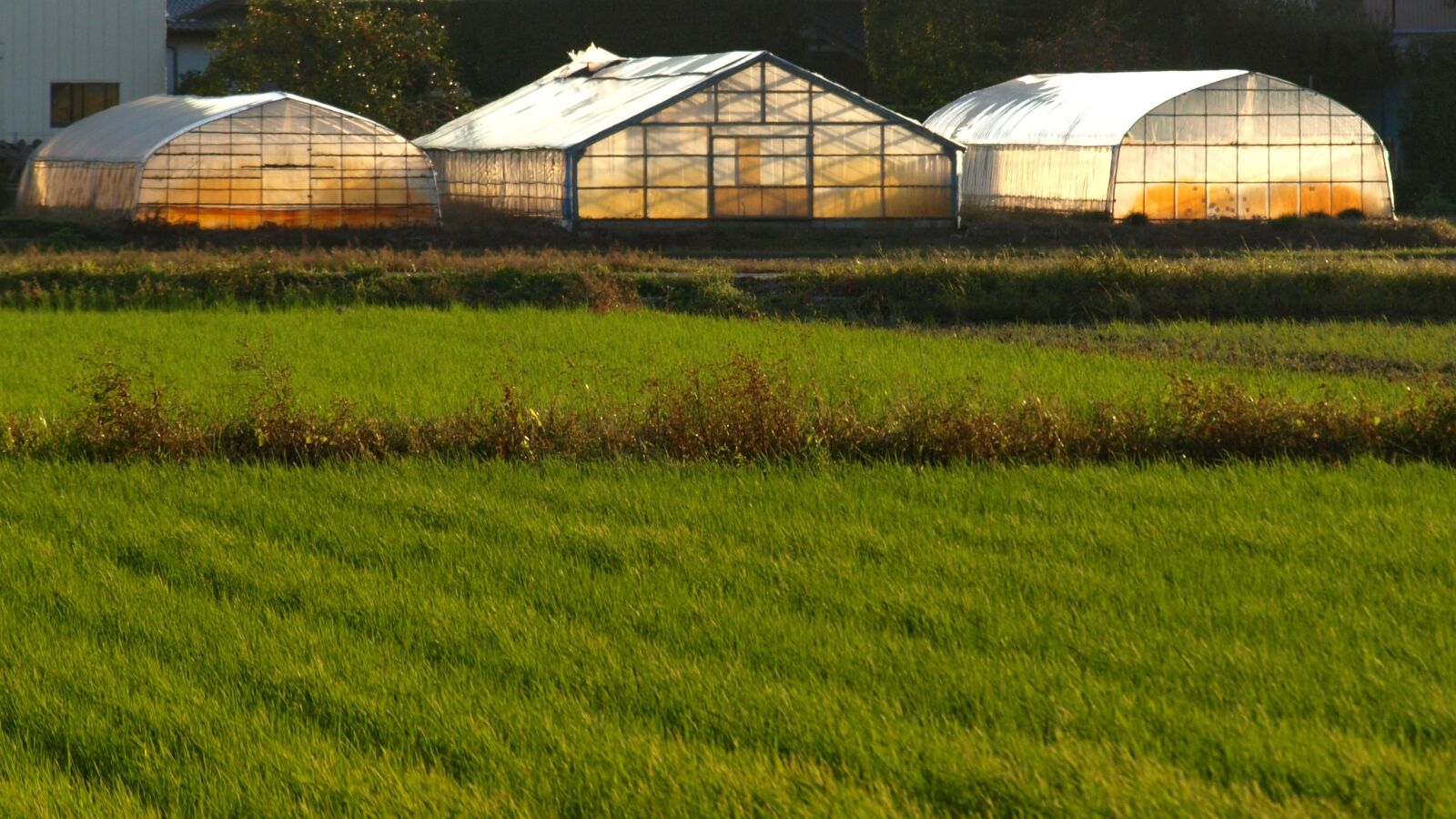 Olympus E-510 (EVOLT E-510) sample photo. Natural, landscape, vinyl house photography