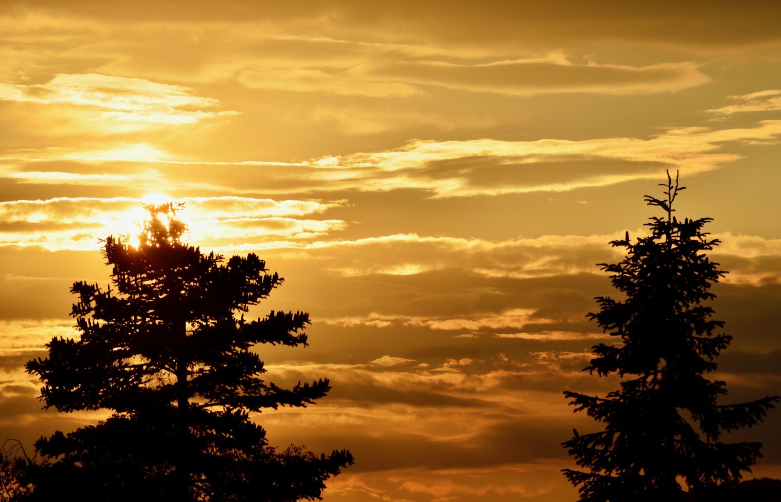 Nikon D5100 sample photo. Sunset, abendstimmung, sky photography