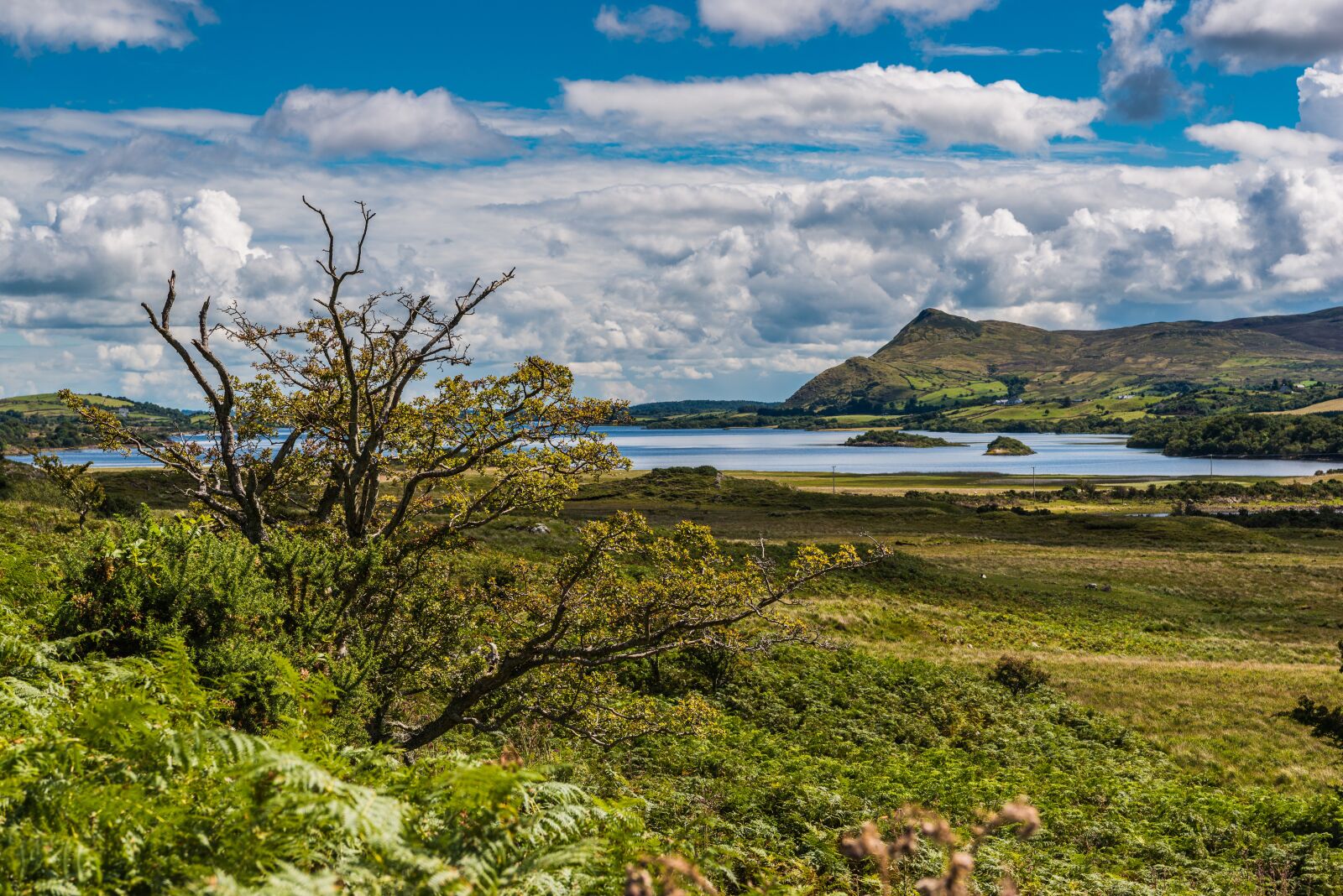 Nikon D800 sample photo. Ireland, connemara, lake photography