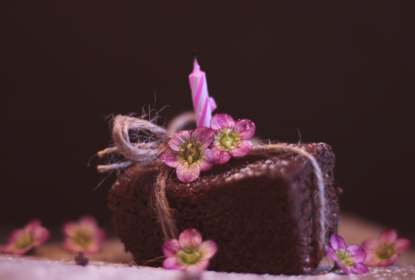 Canon EF 50mm F1.8 STM sample photo. Brownie, cake, greeting card photography