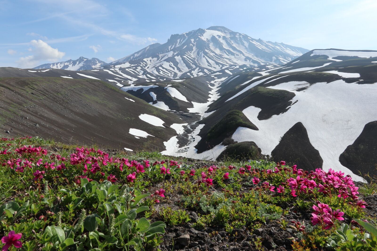 Canon PowerShot G1 X Mark III sample photo. Rhododendrons flowers, volcanoes, mountains photography