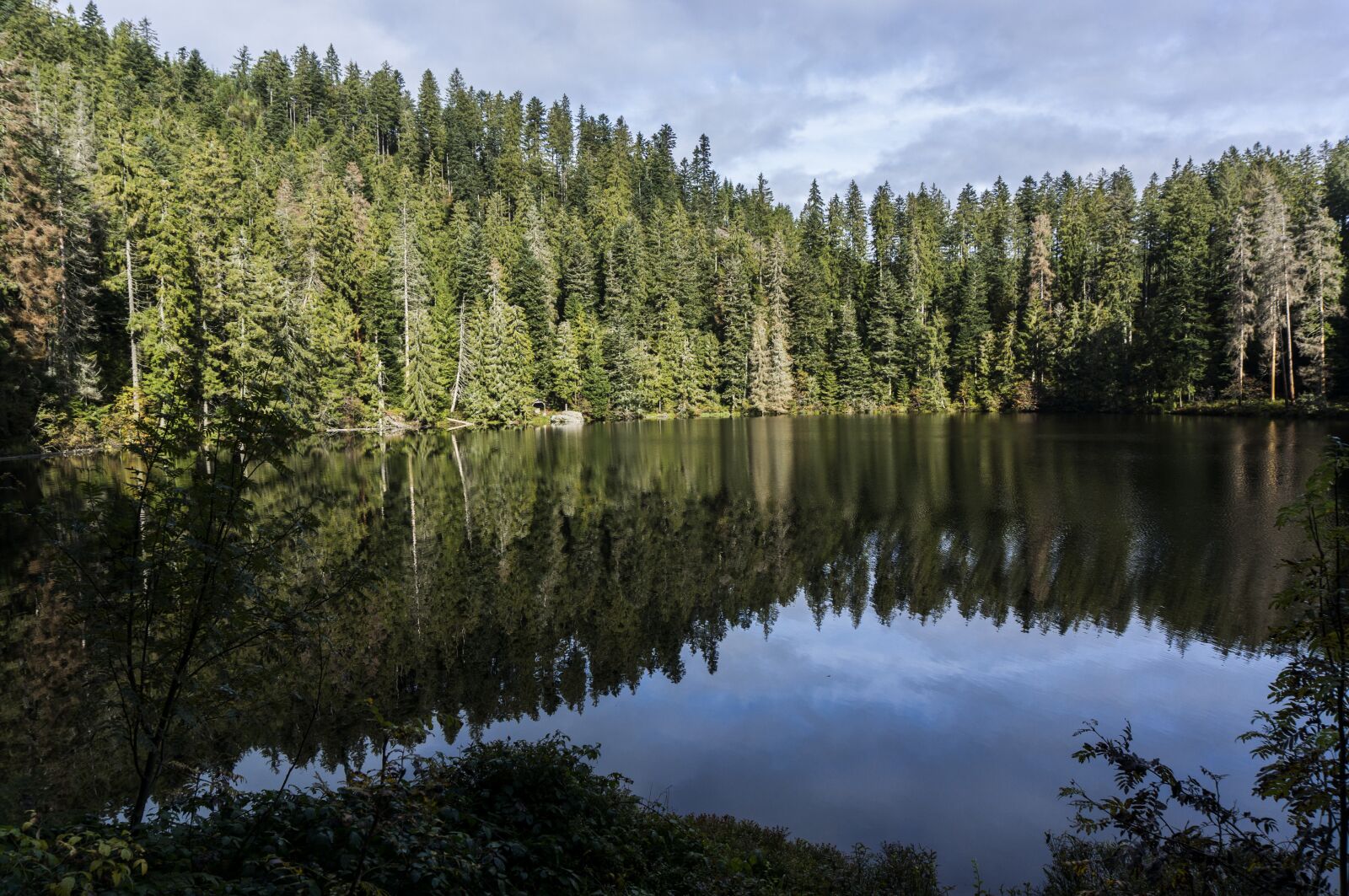 Sony Alpha NEX-6 sample photo. Lake, glass waldsee, black photography