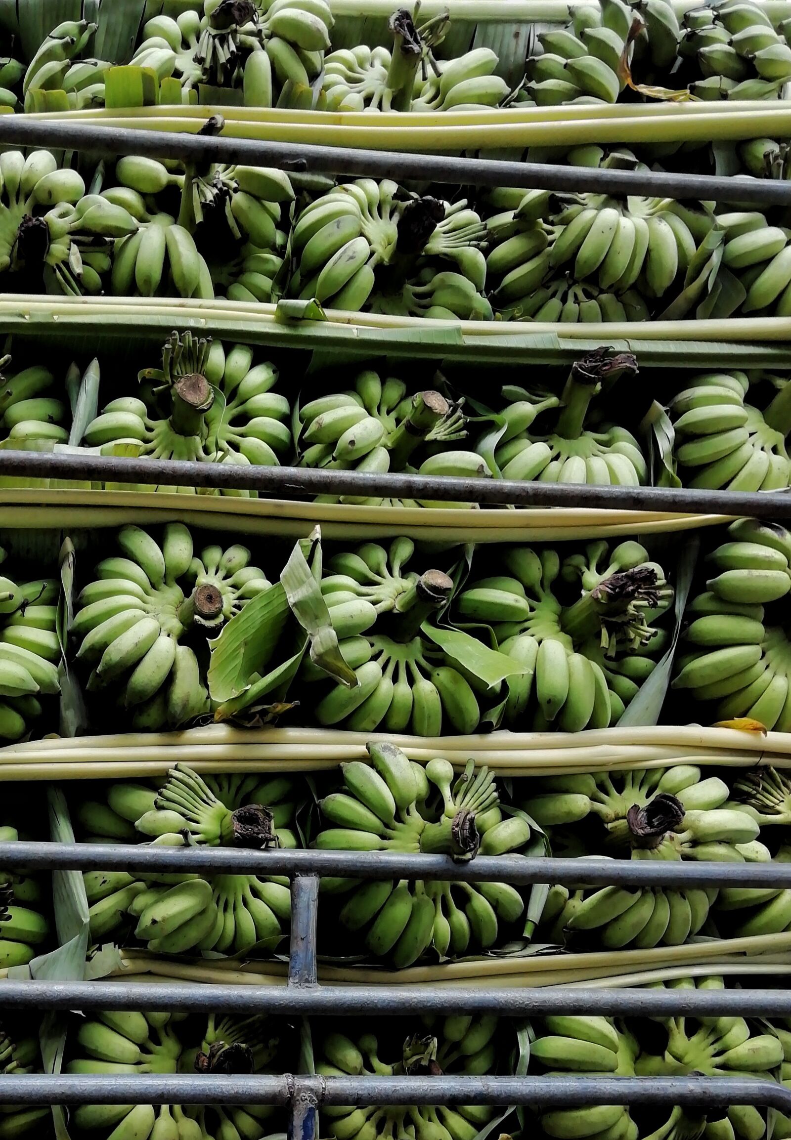 HUAWEI Y9 2018 sample photo. Banana, fruit, array photography