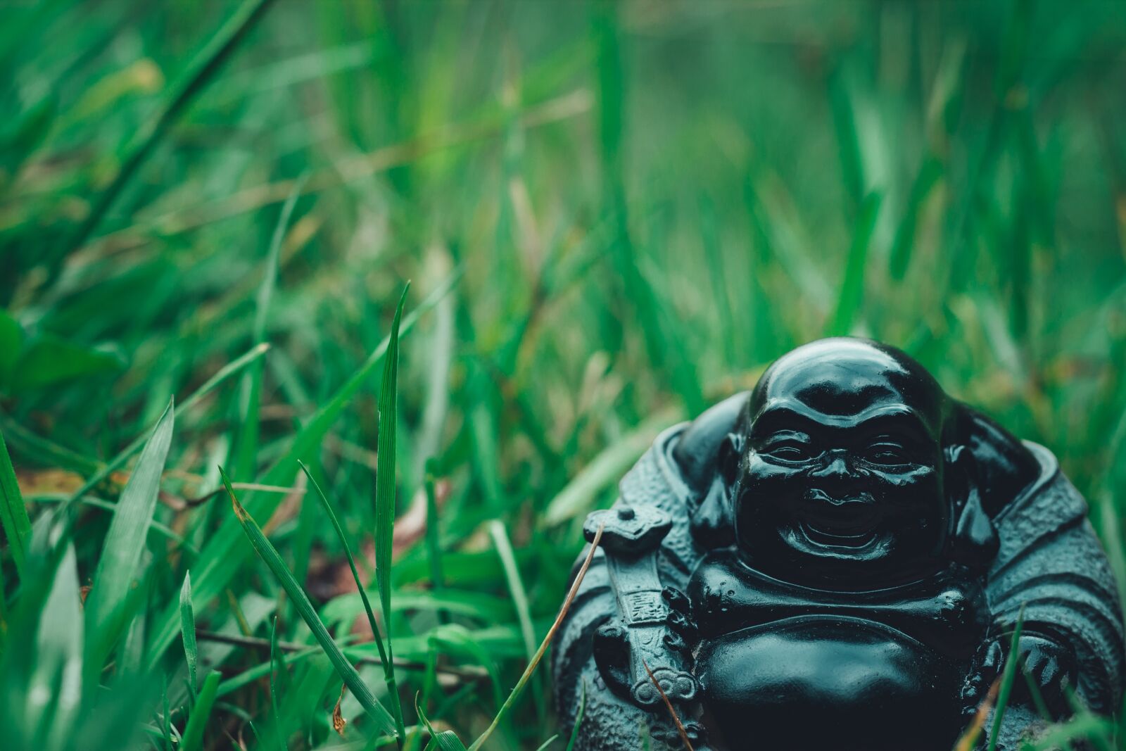 Canon EOS 600D (Rebel EOS T3i / EOS Kiss X5) + Canon EF 50mm F1.8 STM sample photo. Religion, buddha, china photography