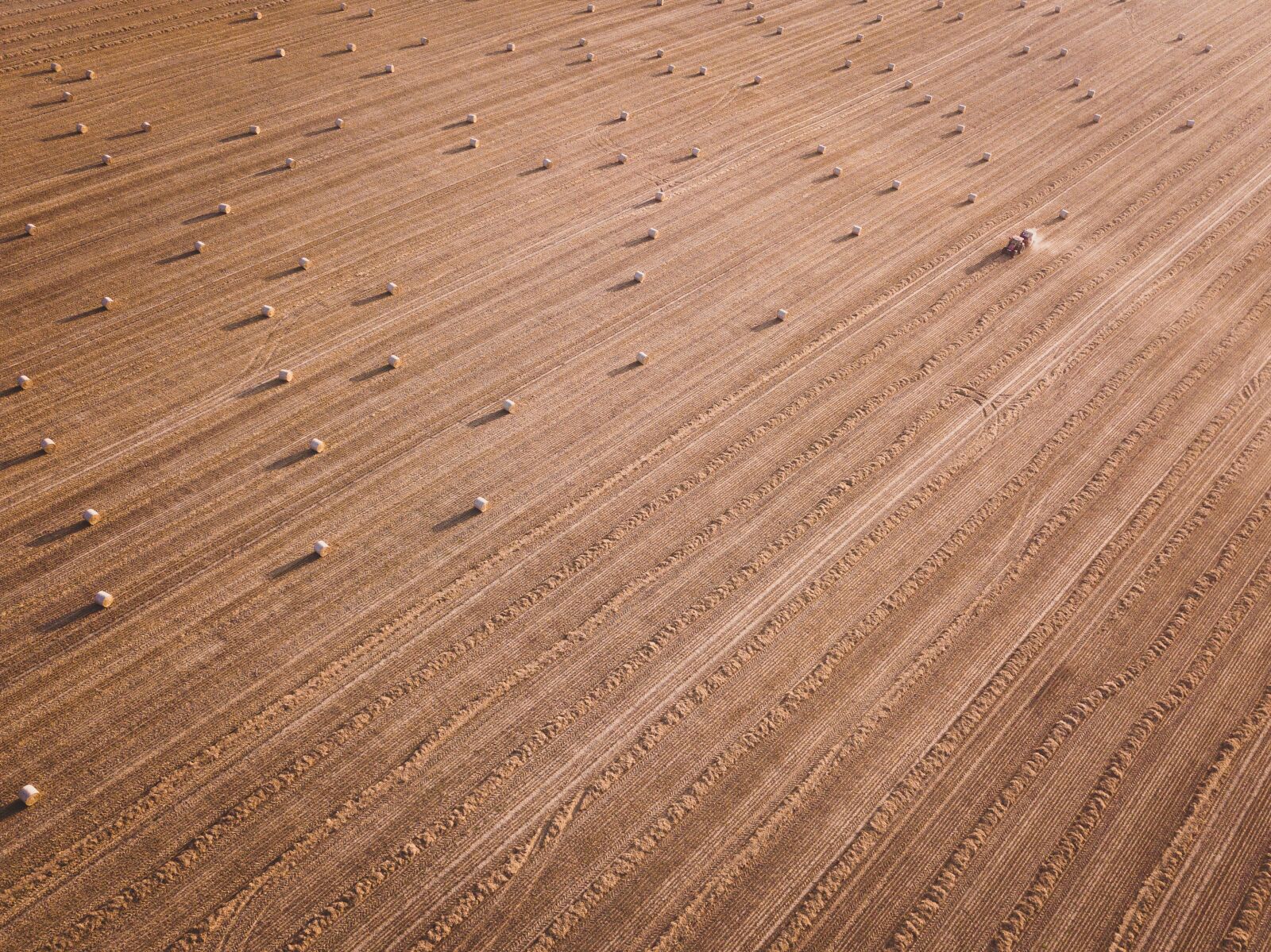 DJI FC220 sample photo. Grass, rural, drought photography