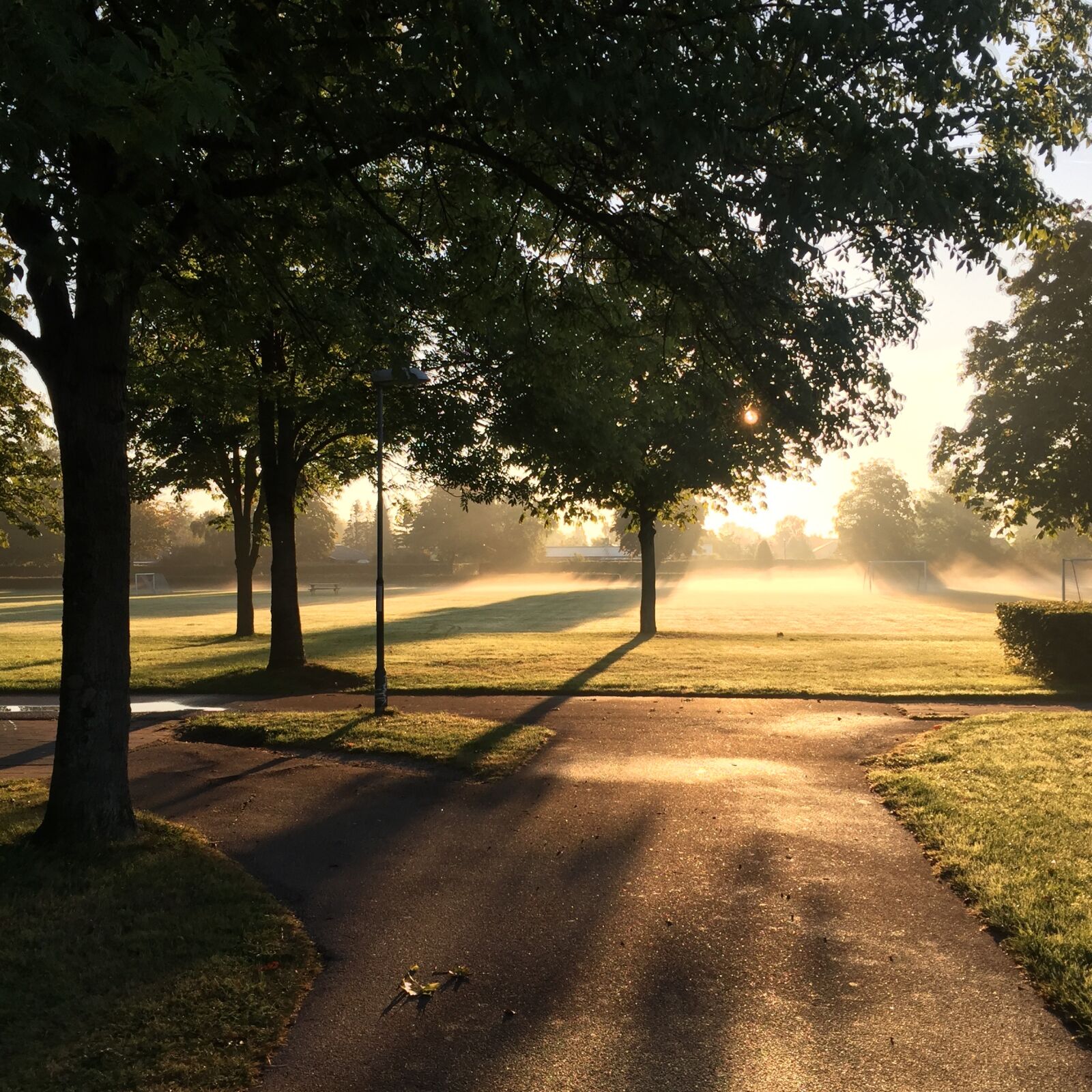 Apple iPhone 6 sample photo. Sunrise, natural, denmark photography