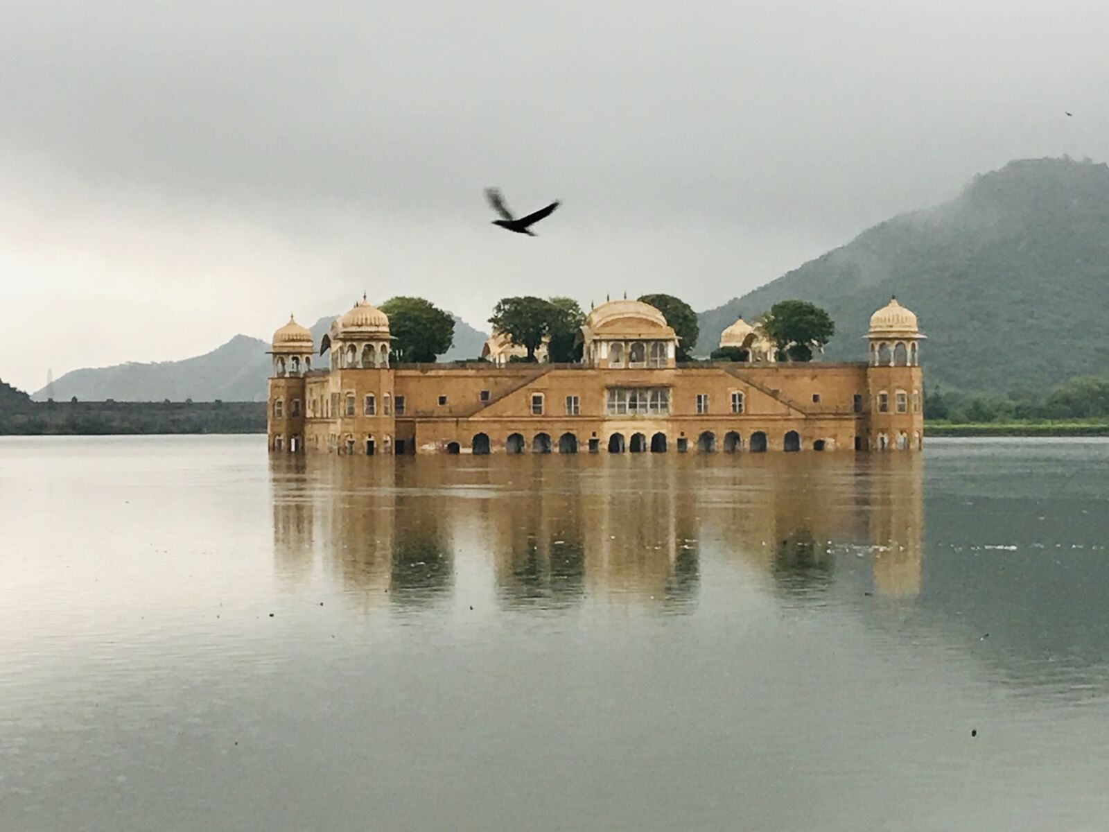 iPhone 7 back camera 3.99mm f/1.8 sample photo. Rajasthan, pinkcity, lake photography