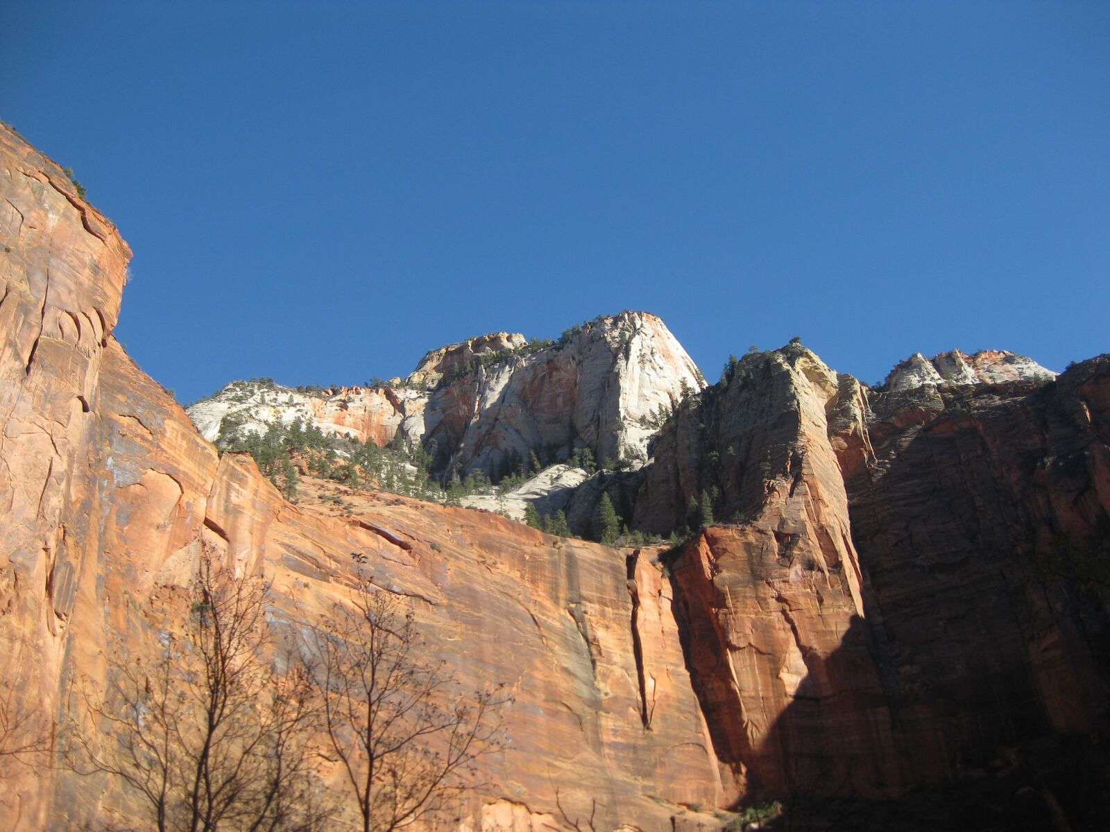 Canon PowerShot SD1100 IS (Digital IXUS 80 IS / IXY Digital 20 IS) sample photo. Grand canyon, south rim photography