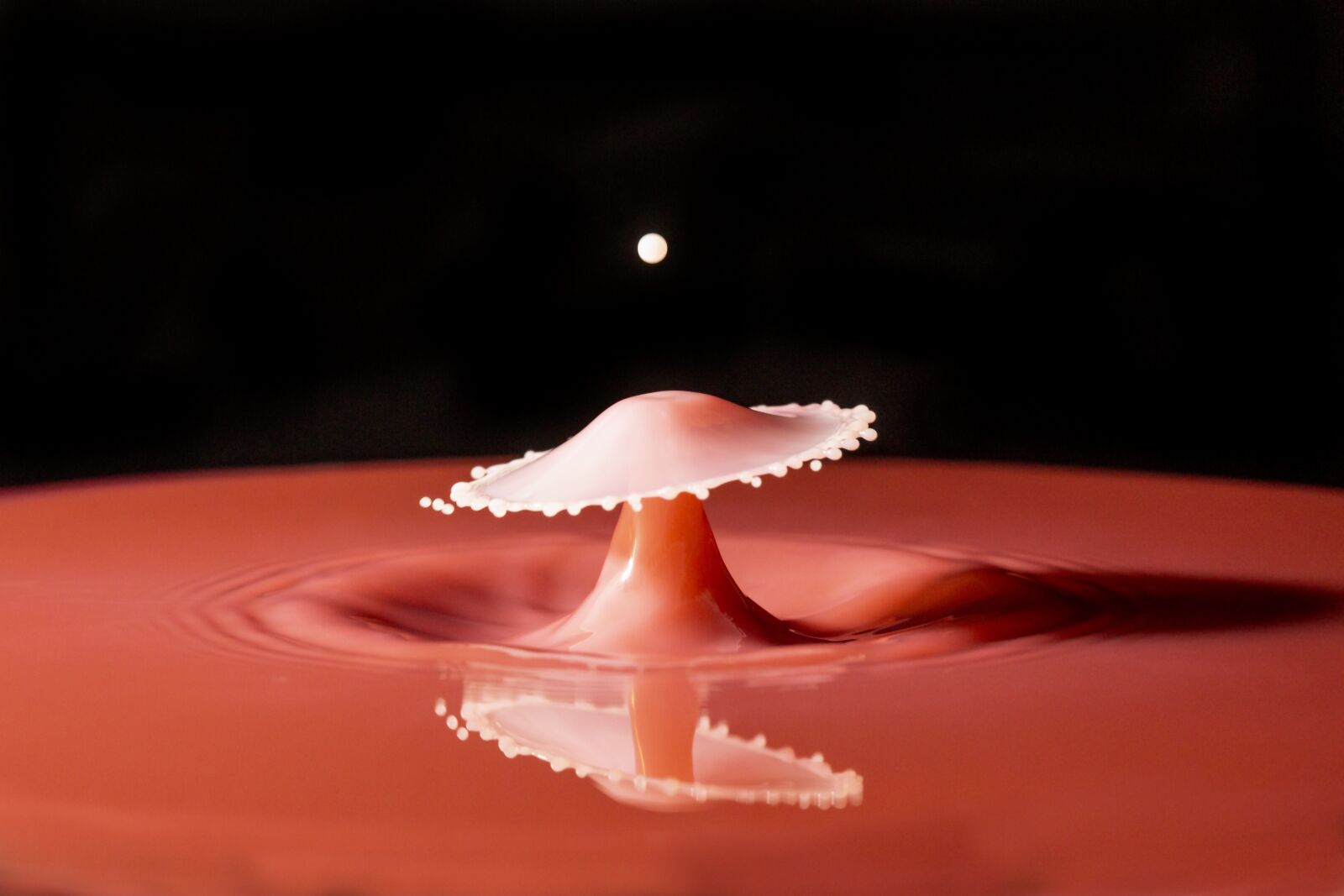 Canon EF 100mm F2.8 Macro USM sample photo. Water, milk, garnet photography