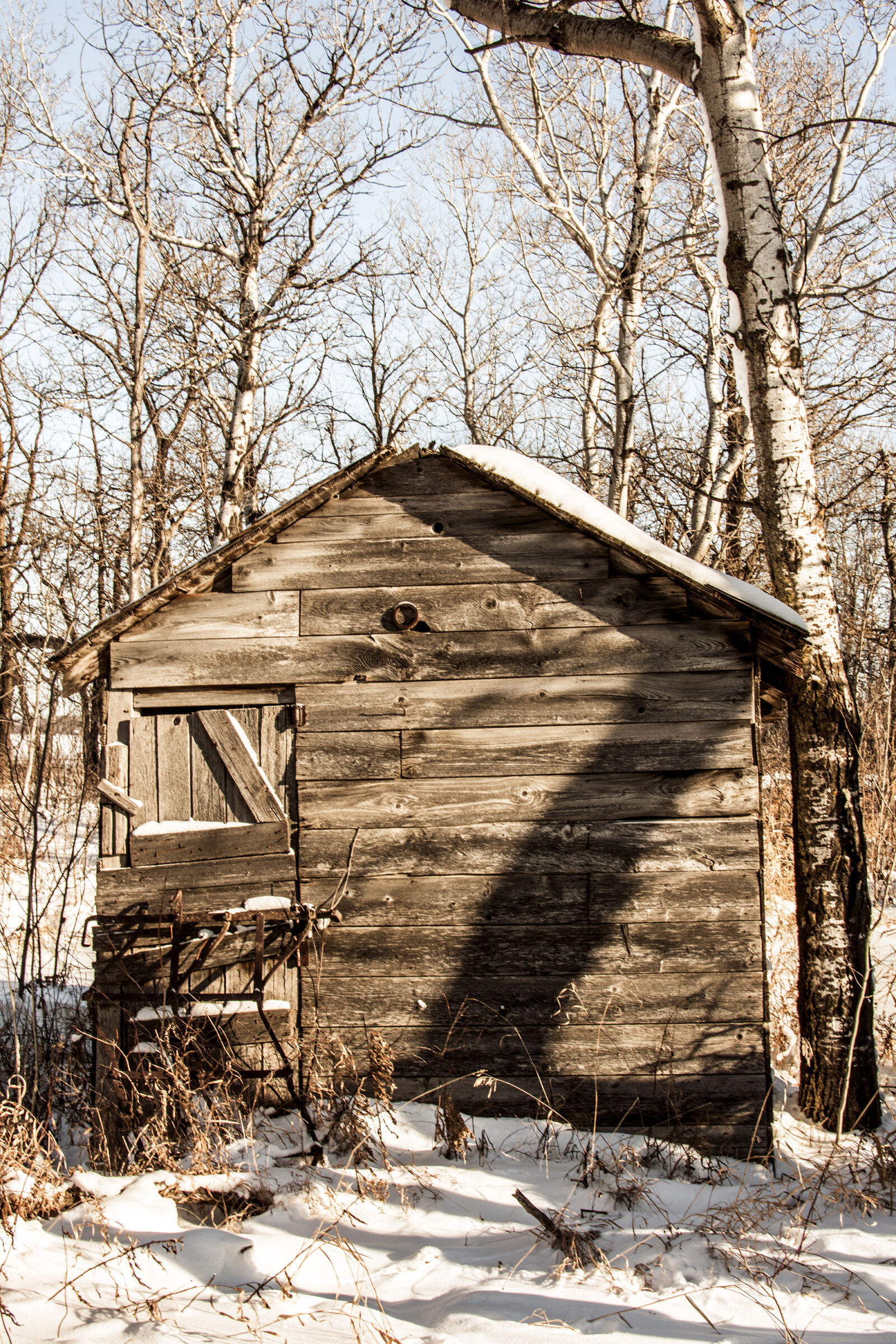 Nikon AF-S DX Nikkor 35mm F1.8G sample photo. Abandoned, house, in, winter photography