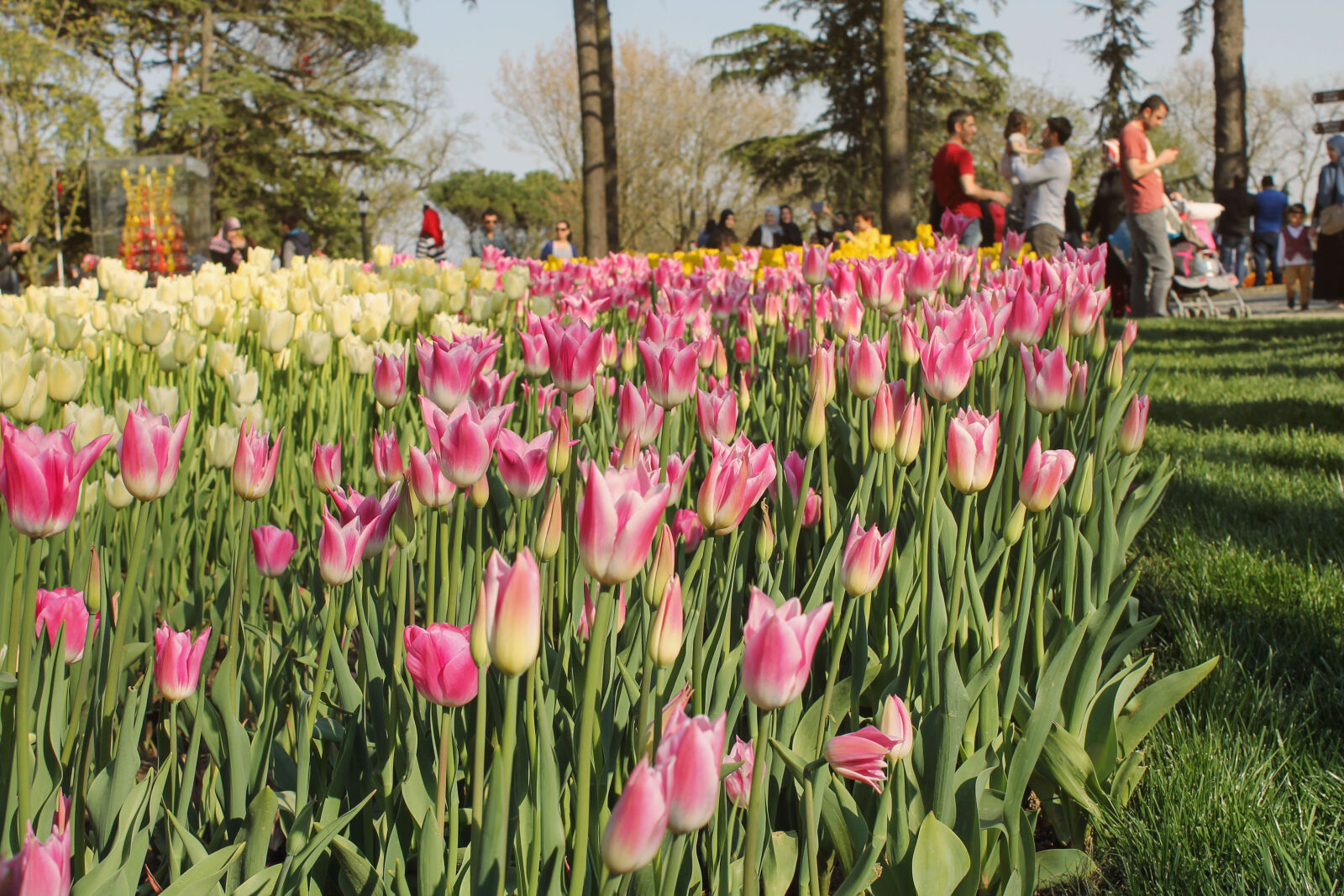 Canon EOS 1100D (EOS Rebel T3 / EOS Kiss X50) sample photo. 2017, flowers, happy, istanbul photography