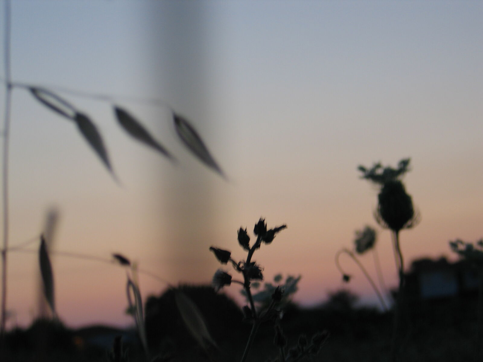 Canon POWERSHOT G5 sample photo. Sunset, wilderness photography