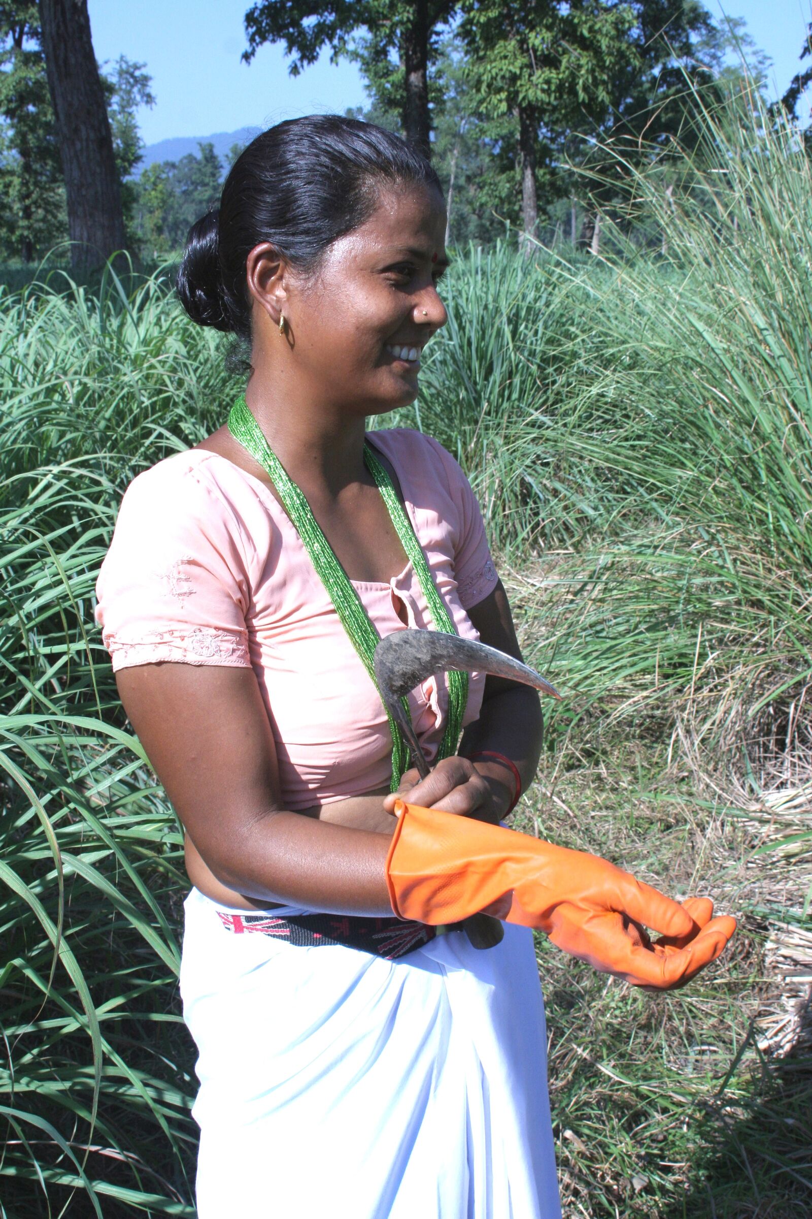 Canon EOS 350D (EOS Digital Rebel XT / EOS Kiss Digital N) sample photo. Women, income, harvesting, lemon photography