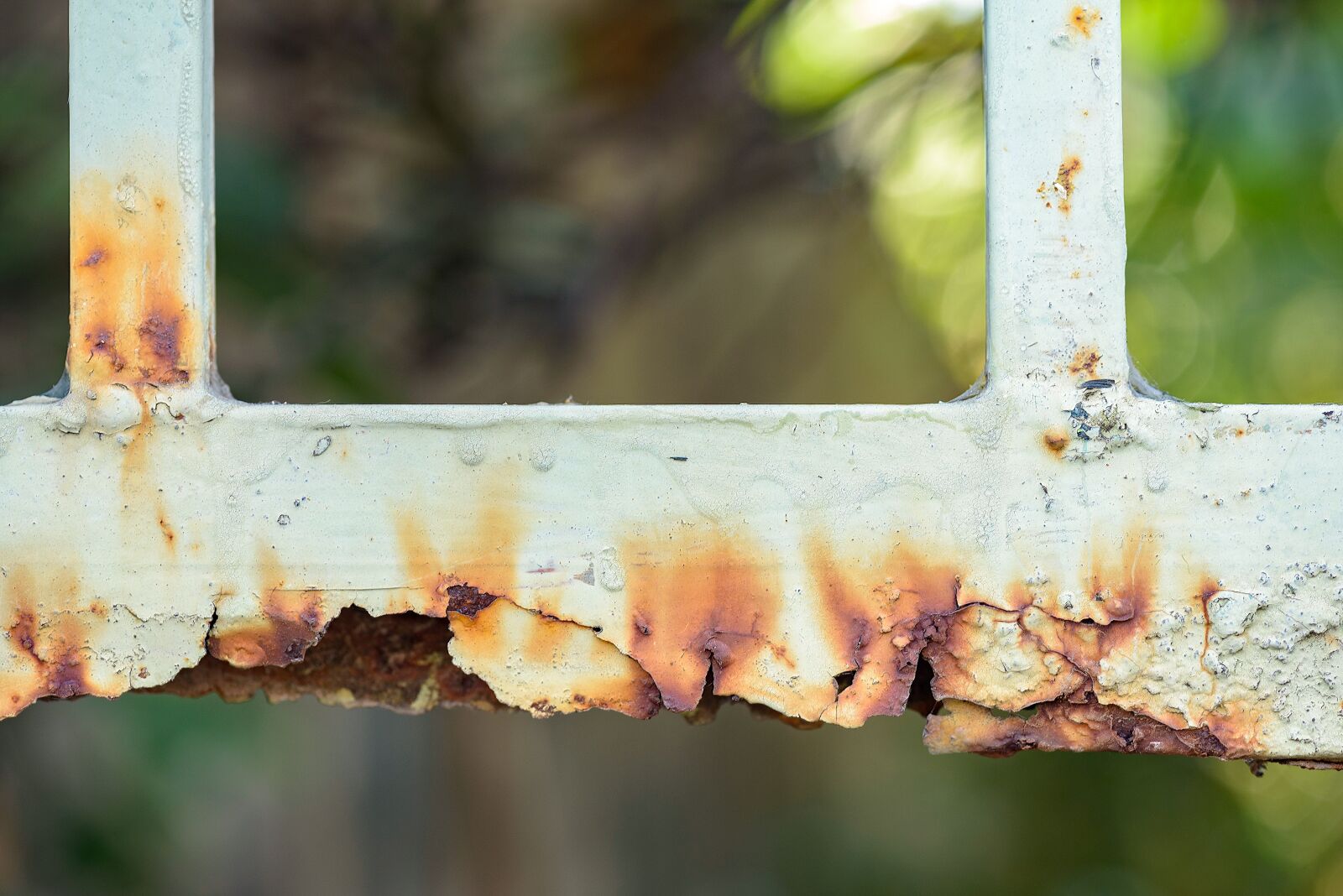 Nikon D750 sample photo. Brown, old, texture photography