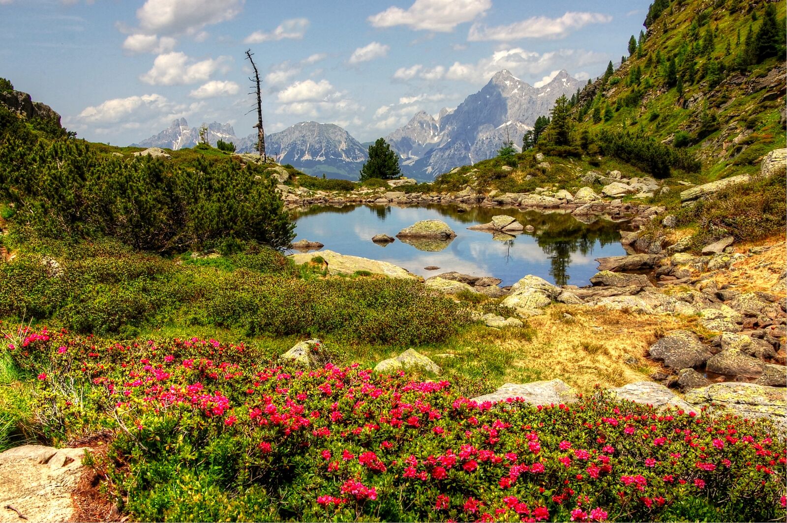 Nikon D40 sample photo. Gasselsee, schladming, bergsee photography