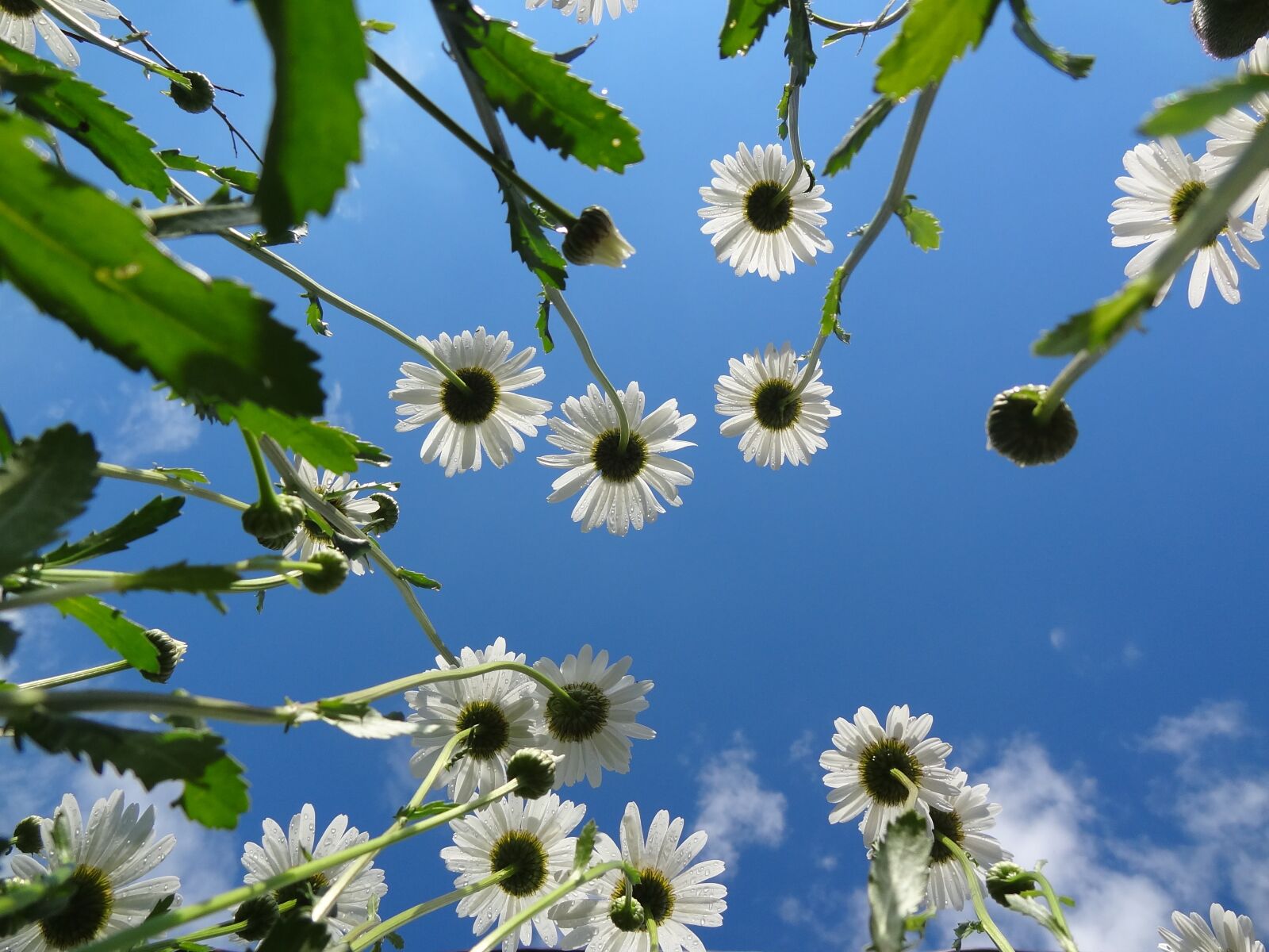 Sony Cyber-shot DSC-HX9V sample photo. Nature, sky, sun photography