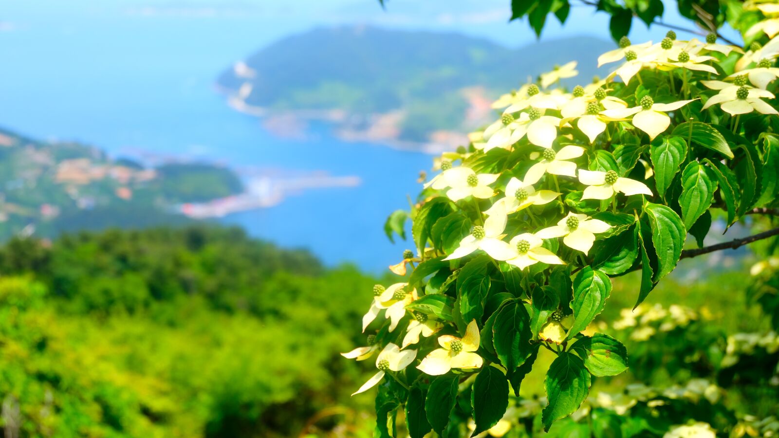 Fujifilm X-T20 + Fujifilm XC 16-50mm F3.5-5.6 OIS II sample photo. Korean landscape, south sea photography