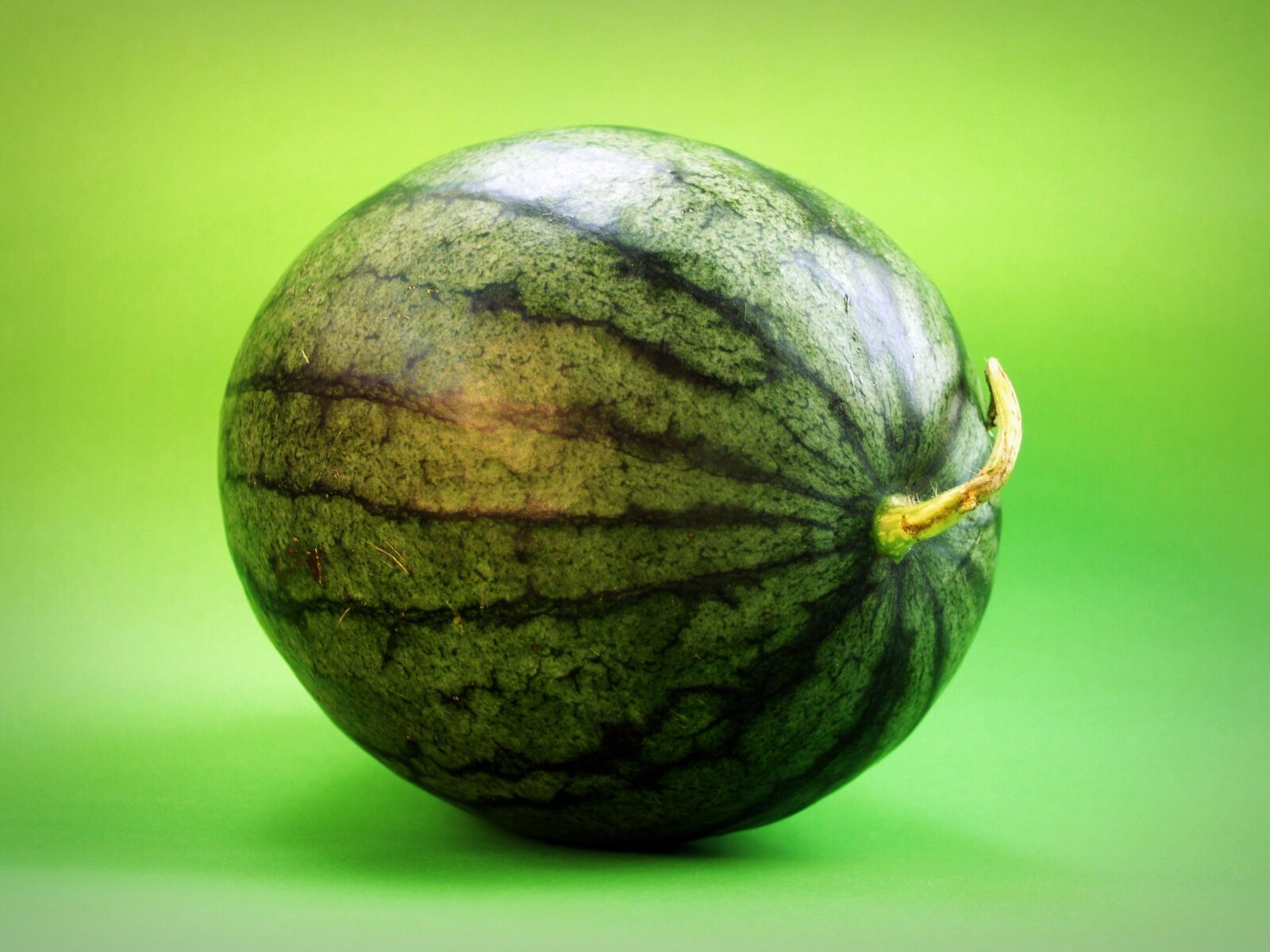 Olympus E-300 (EVOLT E-300) sample photo. Watermelon, slice, isolated photography