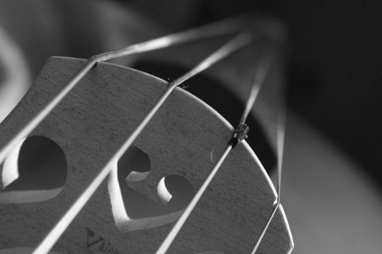 Canon EOS 650D (EOS Rebel T4i / EOS Kiss X6i) sample photo. Music, heart, love photography