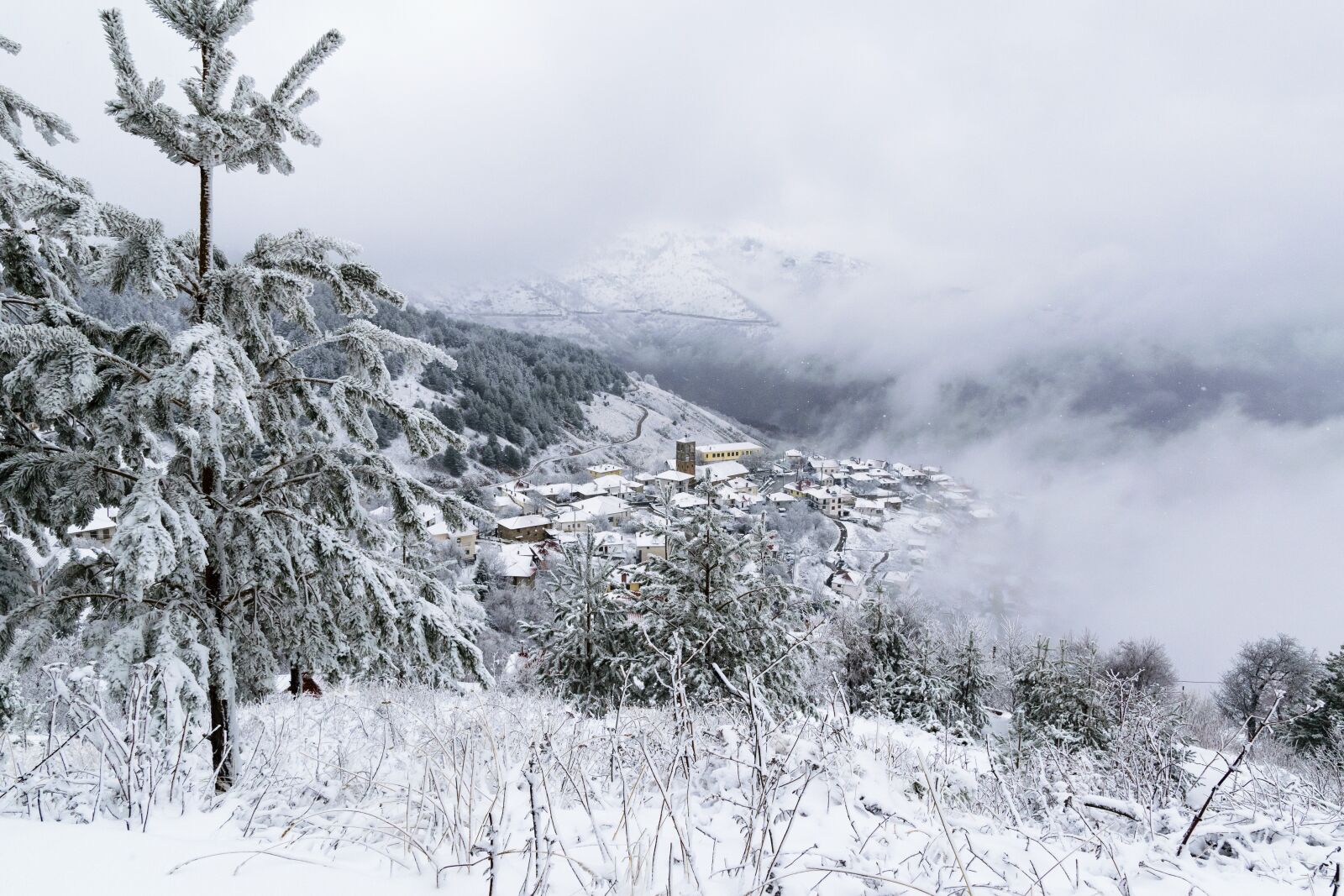 Nikon D5300 sample photo. Snow, winter, trees photography
