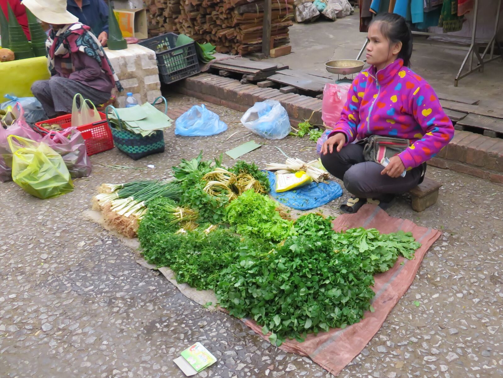 Canon PowerShot SX270 HS sample photo. Laos, market, merchant photography