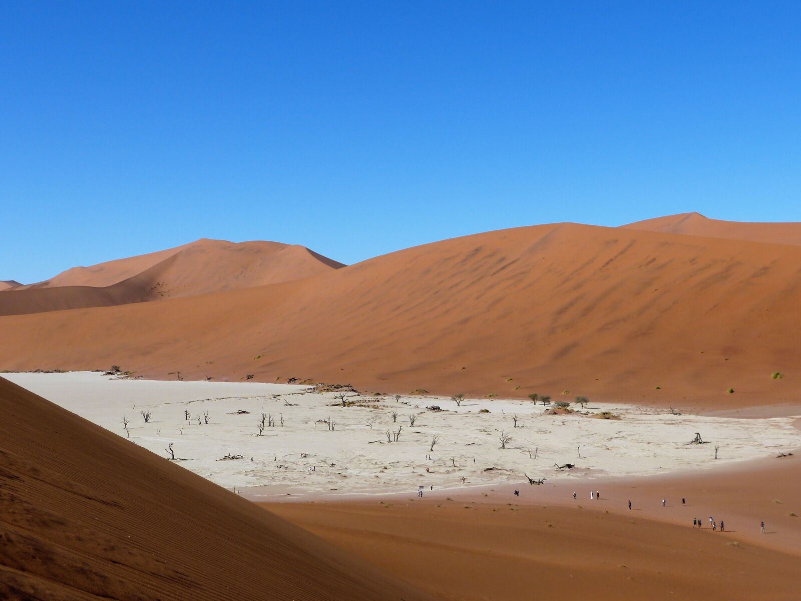 Panasonic Lumix DMC-FZ150 sample photo. Namib, nature, namibia photography