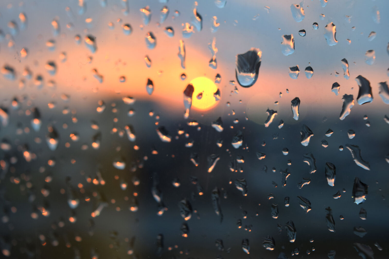 Nikon D3300 sample photo. Drops, rain, sunset photography