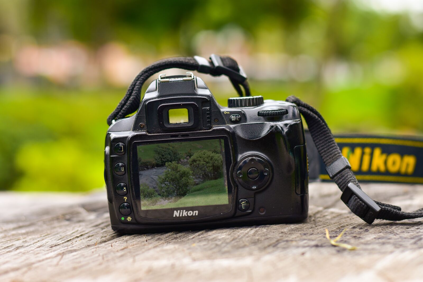 Nikon D3400 sample photo. Camera, photography, vintage photography