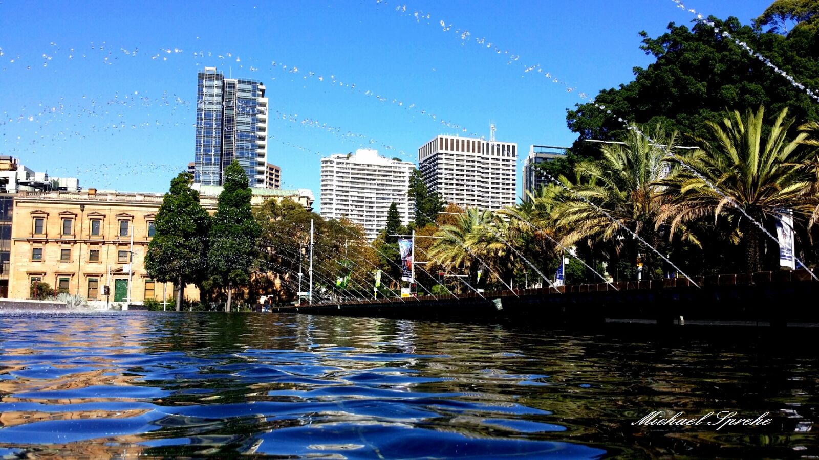 Samsung Galaxy S4 sample photo. Australia, downtown, palm, tree photography