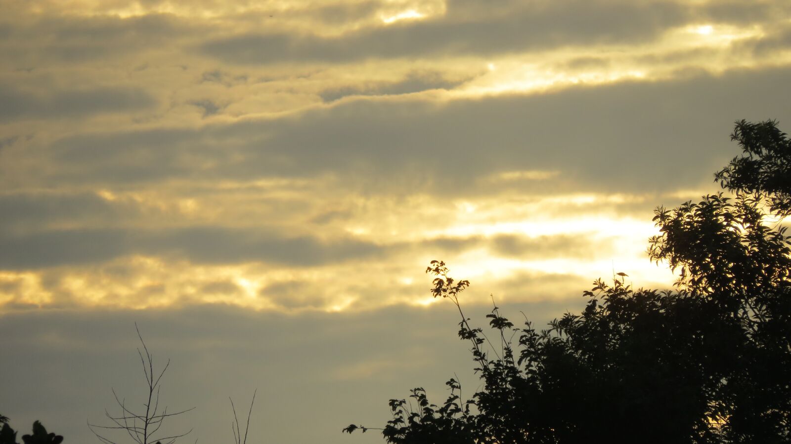 Canon PowerShot SX50 HS sample photo. Sol, born sun, cloud photography