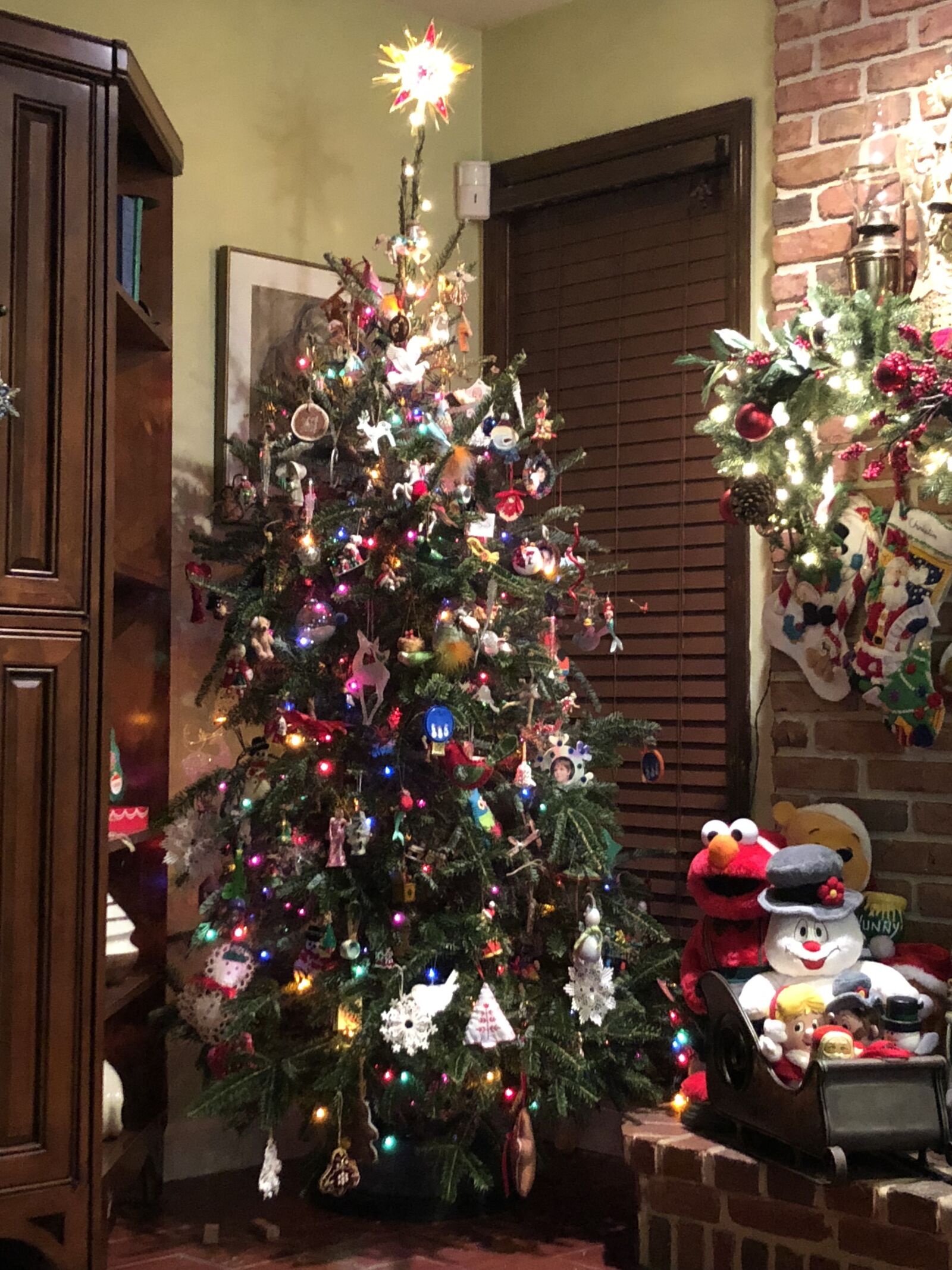 iPhone 8 back camera 3.99mm f/1.8 sample photo. Christmas, christmas tree, tree photography