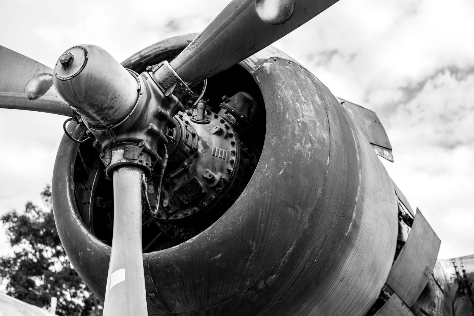 Nikon D5600 sample photo. Plane, black and white photography