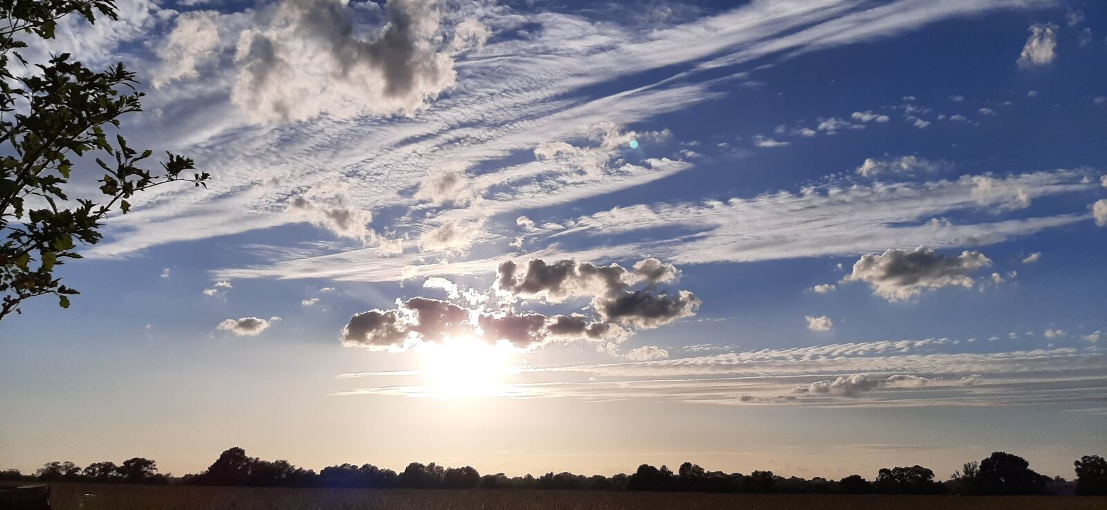 Samsung Galaxy A50 sample photo. Sunset, field, sky photography