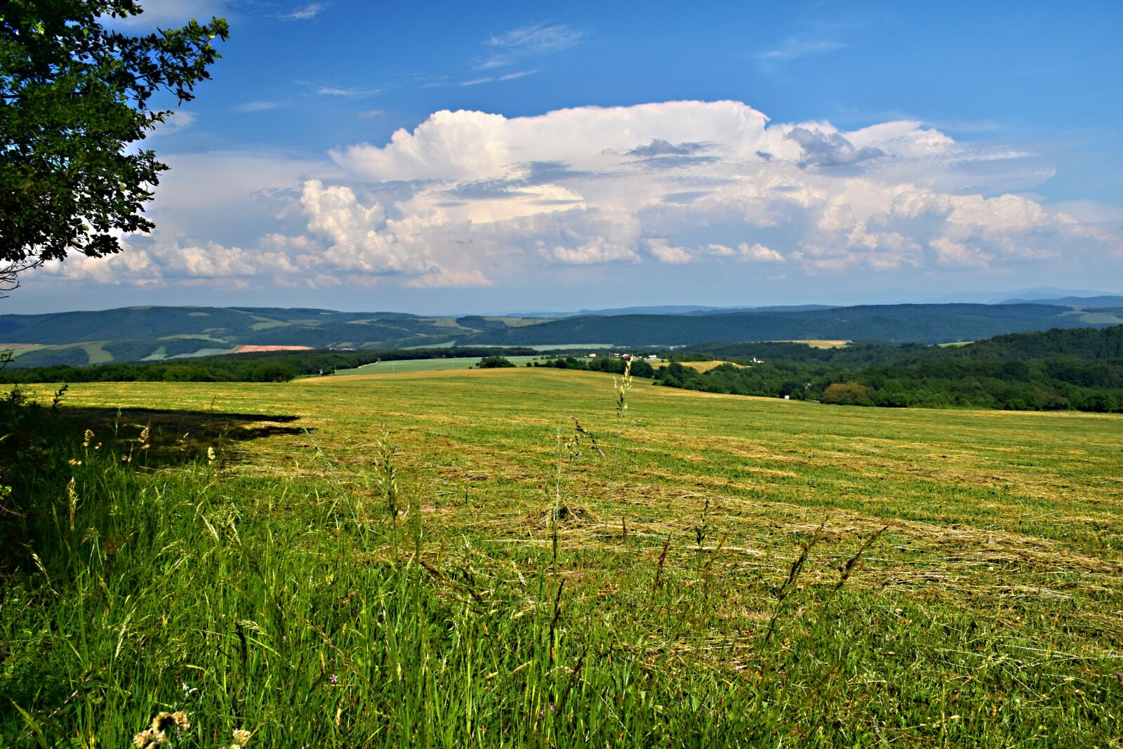 Nikon D5300 sample photo. Slovakia, country, meadow photography