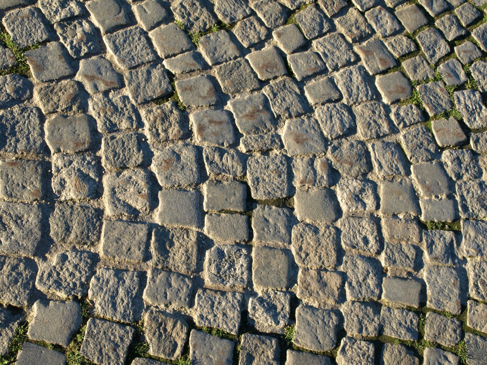 Olympus E-510 (EVOLT E-510) sample photo. Paving stones, ground, road photography