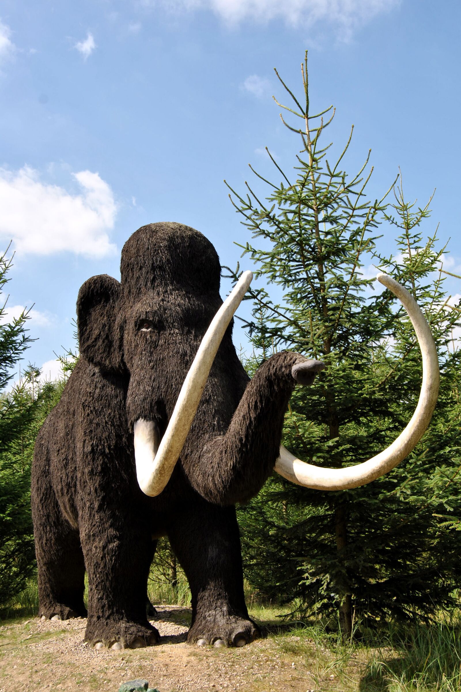Nikon D3000 sample photo. Sculpture, animal sculpture, wool photography