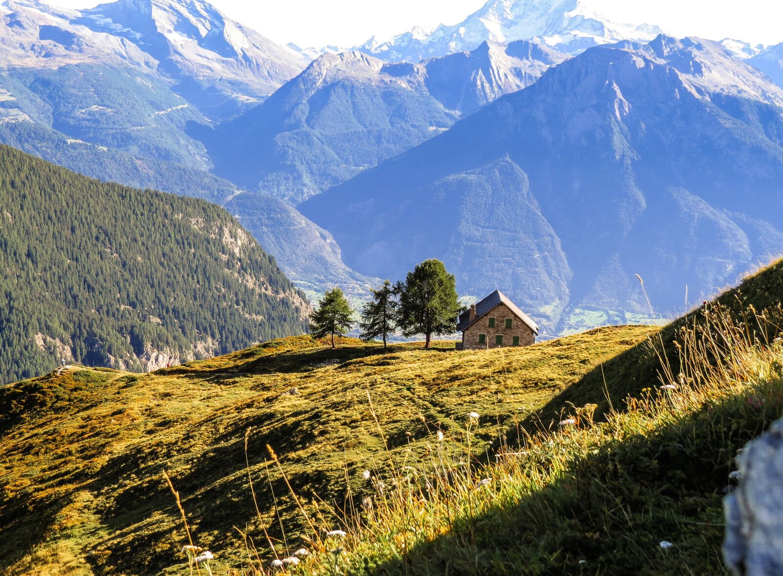 Canon PowerShot SX50 HS sample photo. Belalp, aletsch board, panorama photography