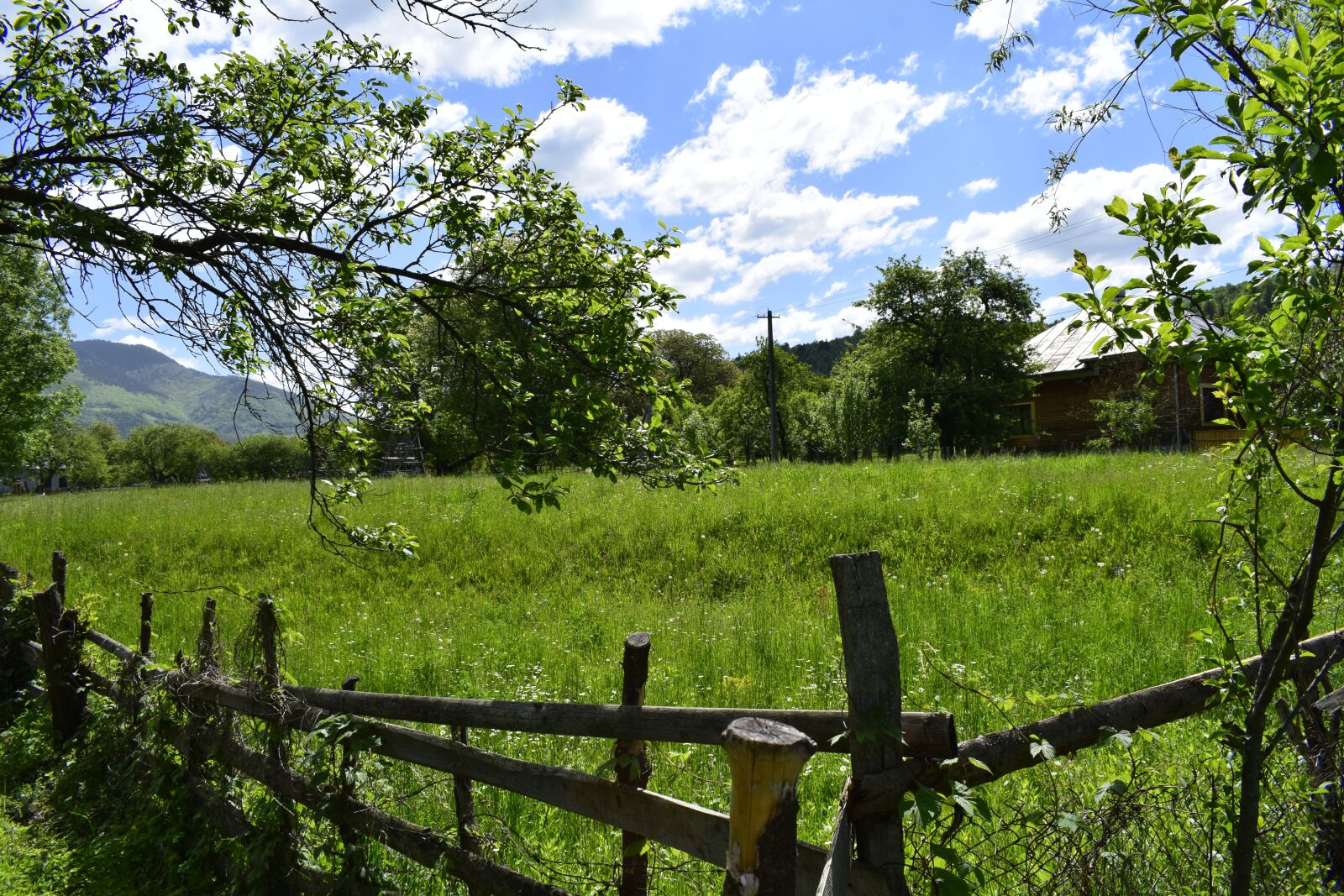 Nikon D3300 sample photo. Landscape, tree, sky photography