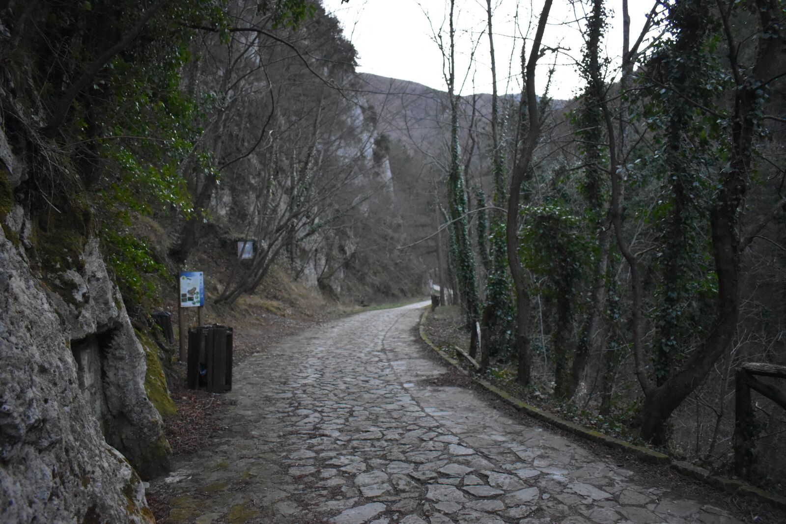 Nikon D5600 sample photo. Trail, mountain, national park photography