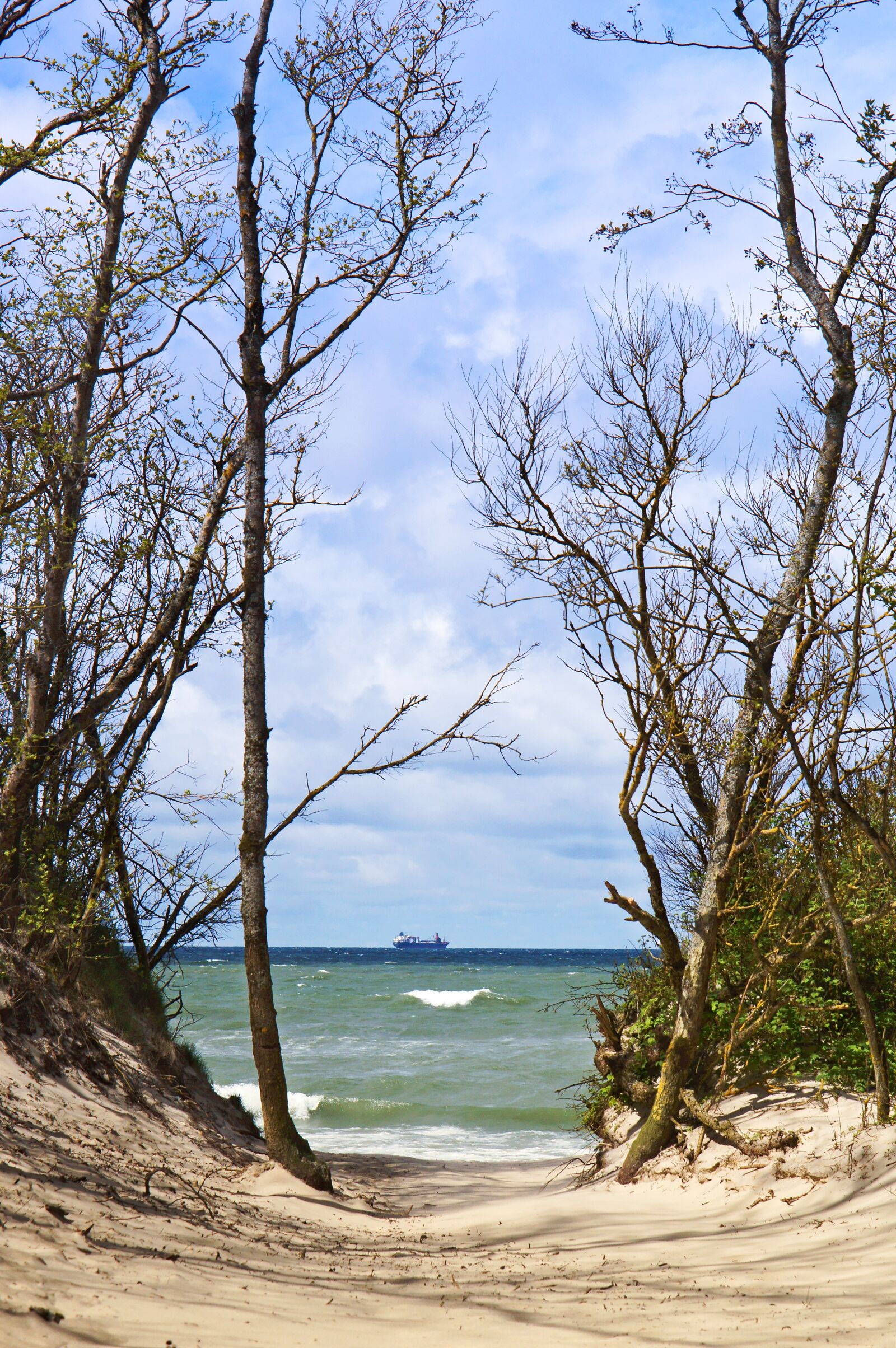 Sony Alpha NEX-3N sample photo. Sea, ocean, summer photography