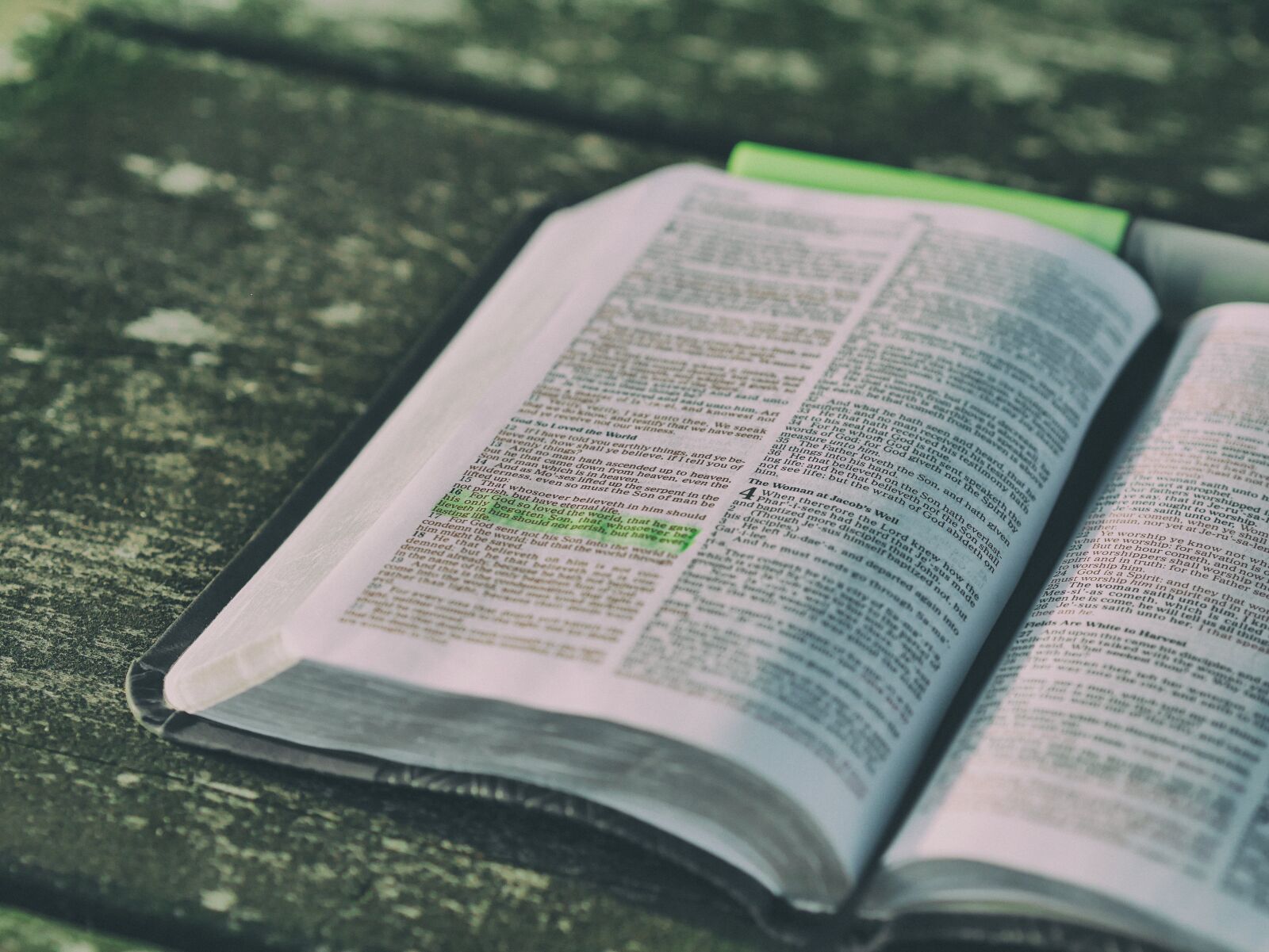 Panasonic Lumix DMC-GX7 sample photo. Bible, book, close-up photography