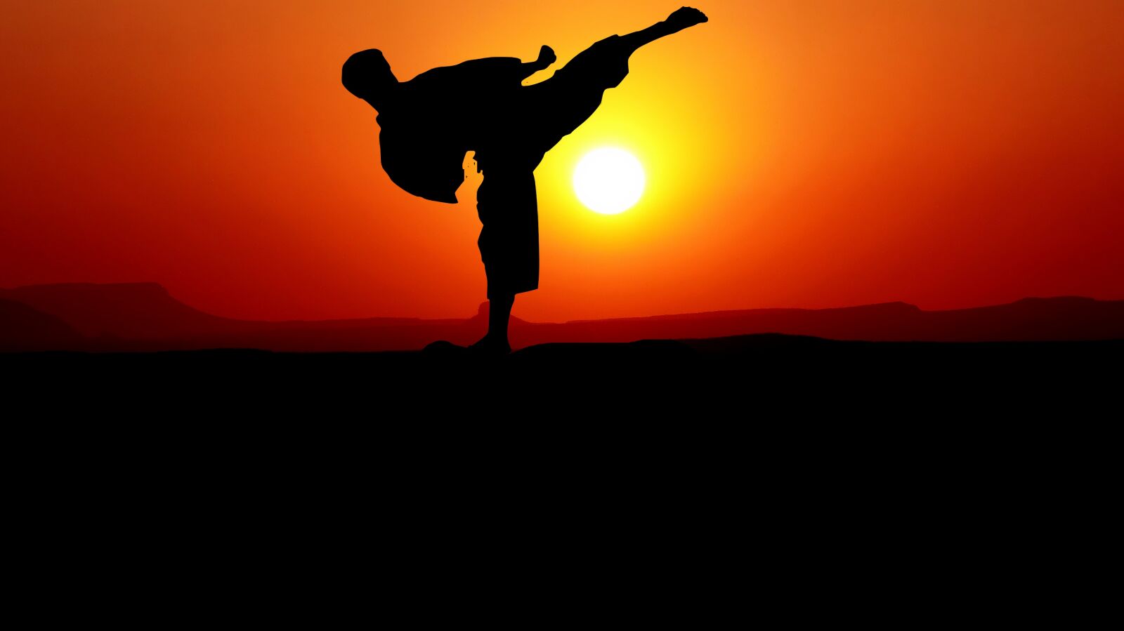 Panasonic Lumix DMC-FZ200 sample photo. Karate, sunset, nature photography