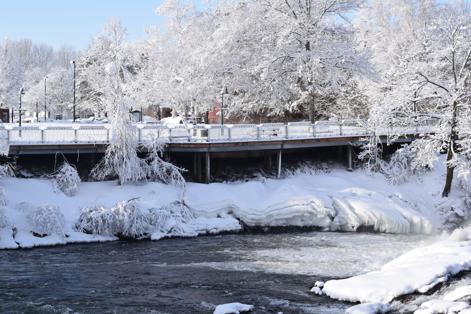Nikon D5300 sample photo. Winter, cold, frozen photography