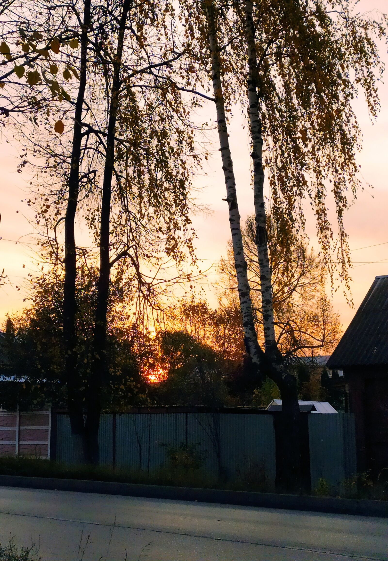 Xiaomi Redmi Note 8T sample photo. Russia, autumn, evening photography