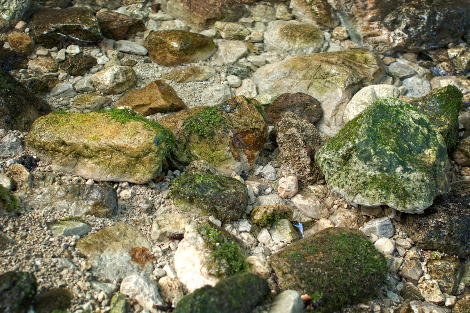 Nikon D7100 sample photo. Background, texture, pattern photography