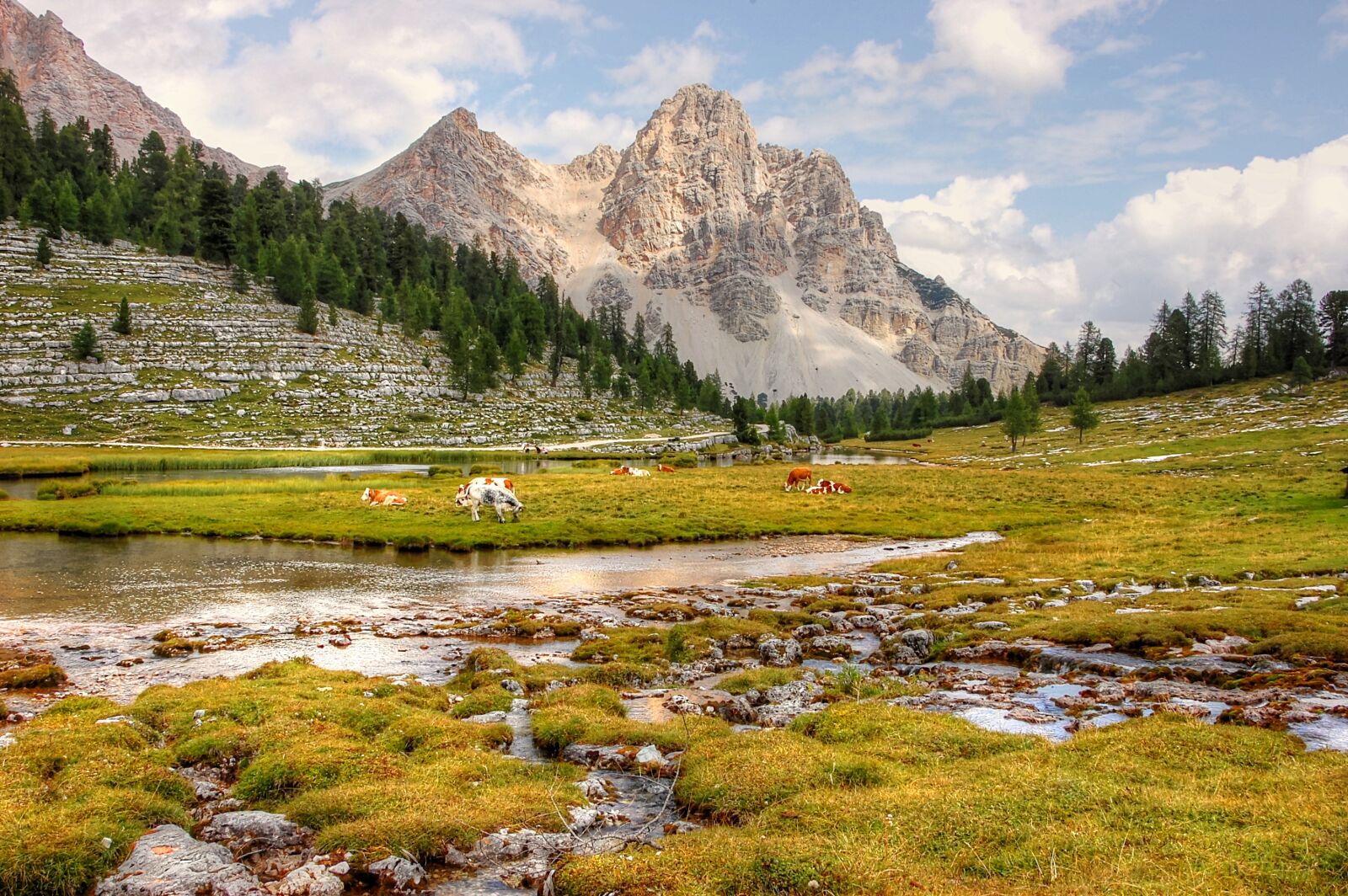 Nikon D40 sample photo. Mountains, dolomites, italy photography